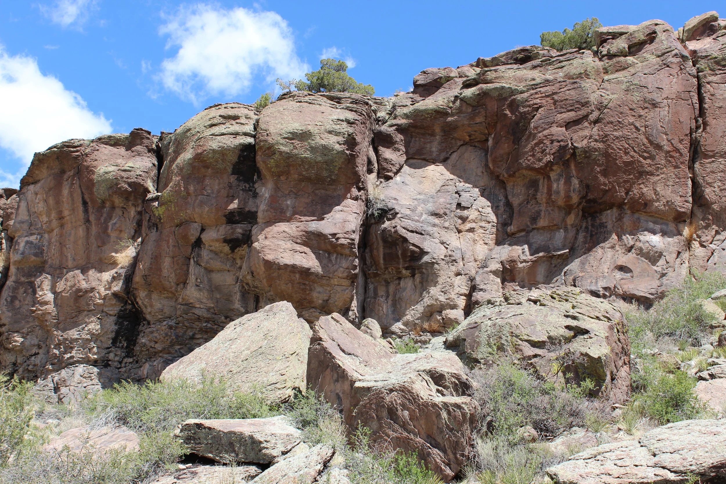 2024-04-20 13.39.46.jpg