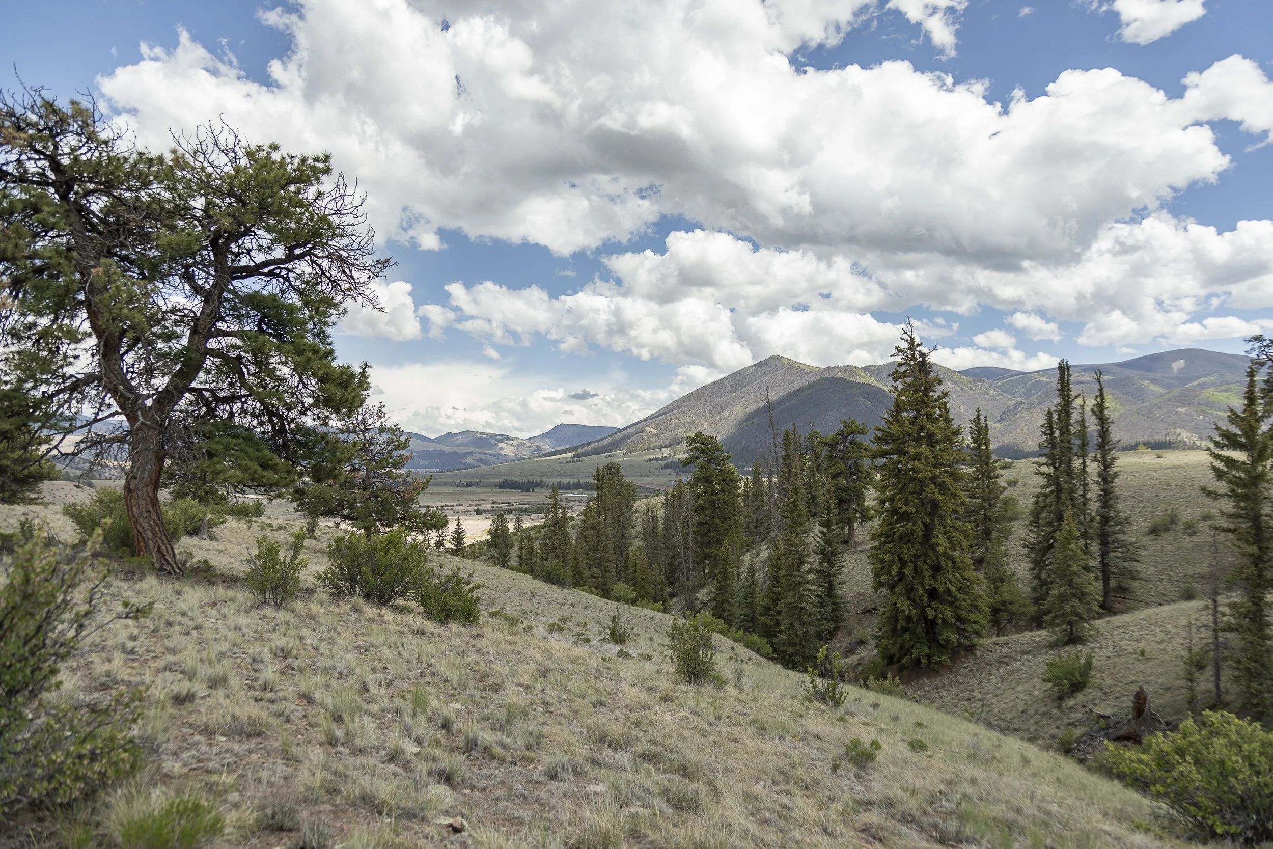 Real Estate Creede Hermit Lakes -1287.jpg