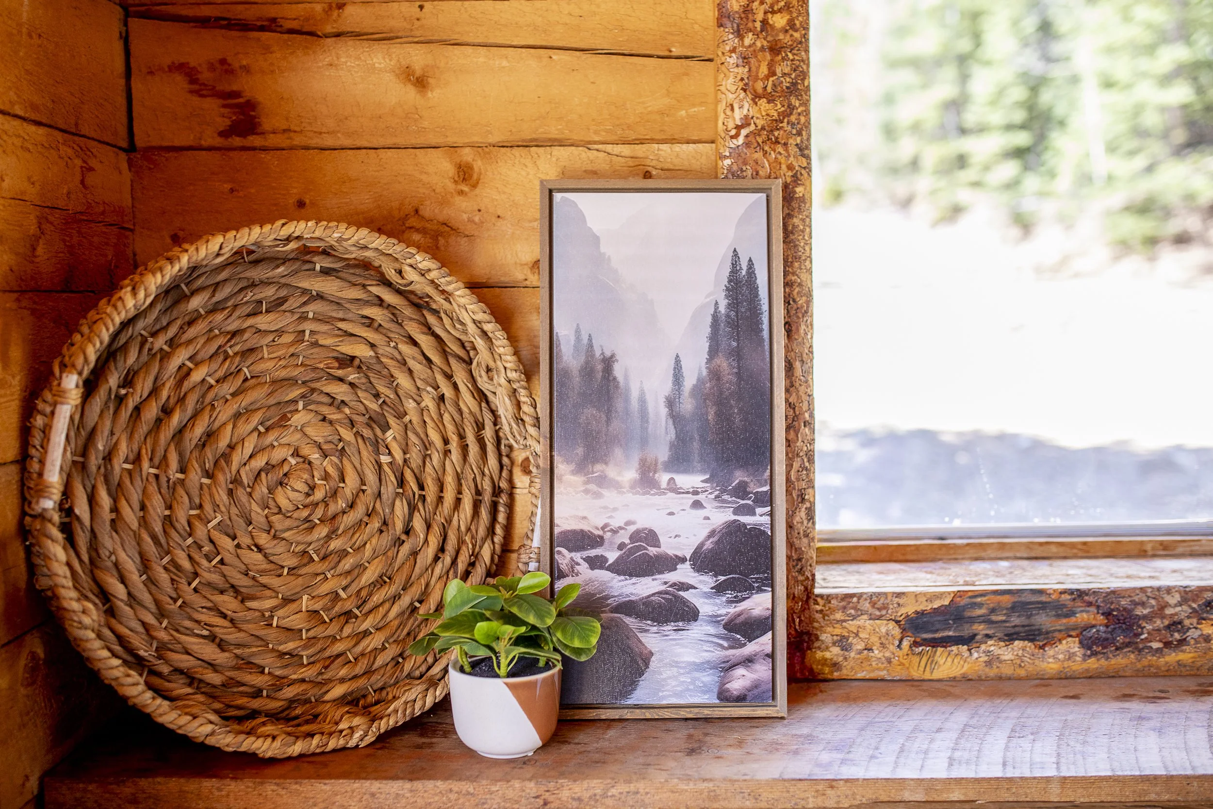 GracieElainePhoto-0707.jpg