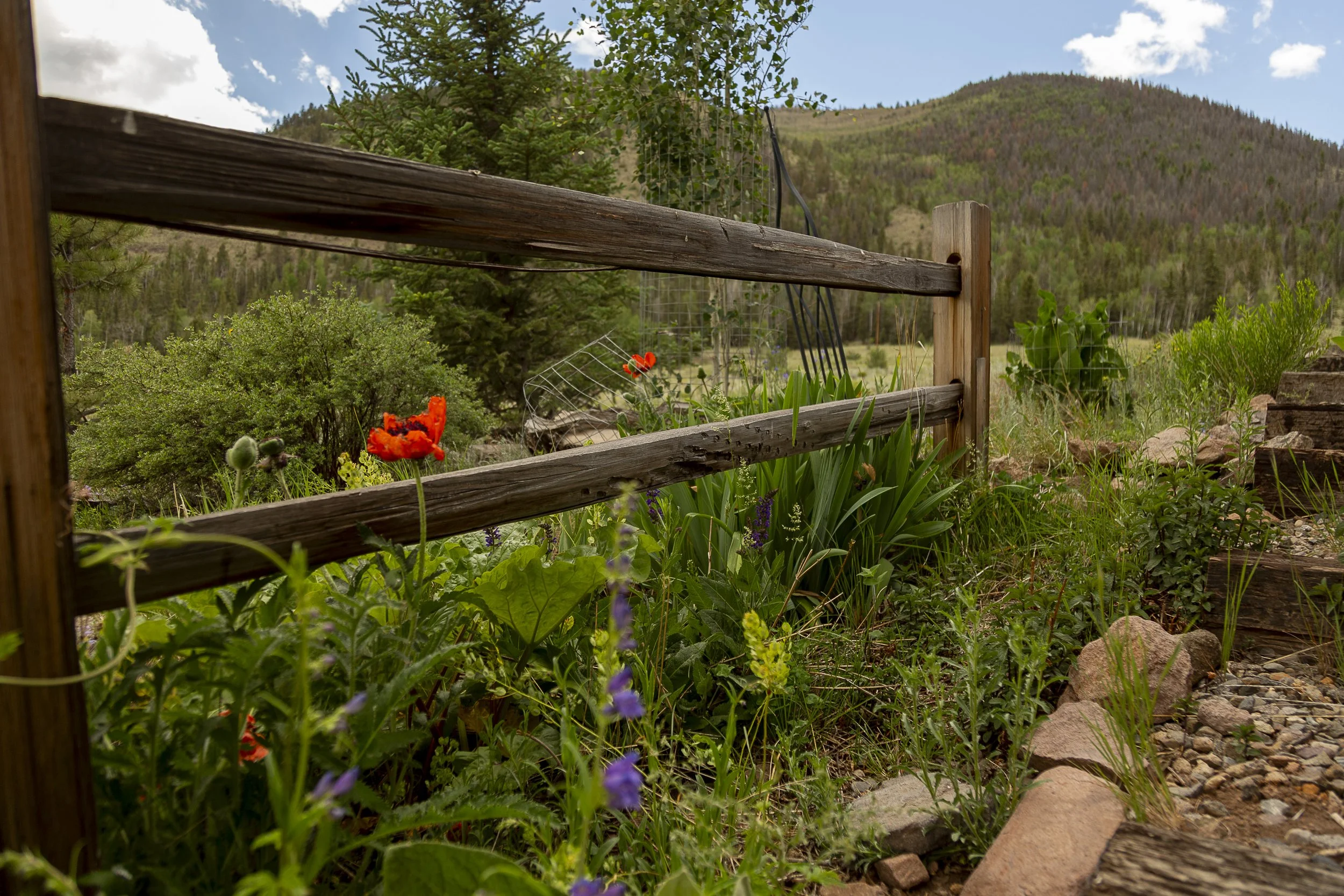 Creede Real Estate-7589.jpg