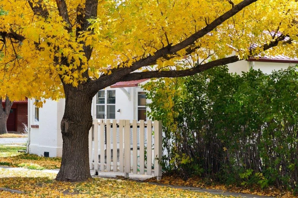55-Back Patio.jpg
