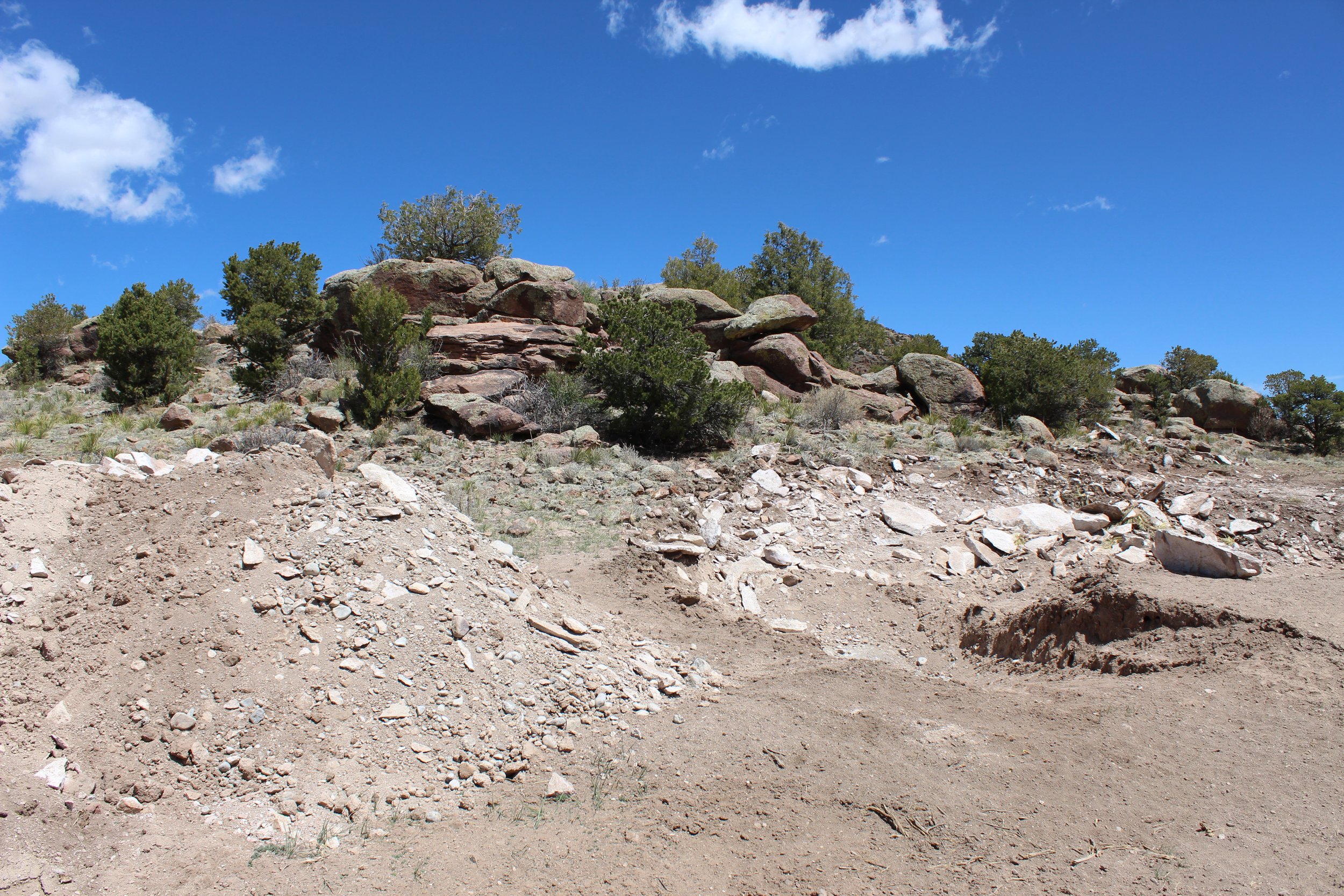 2024-04-20 13.49.17.jpg