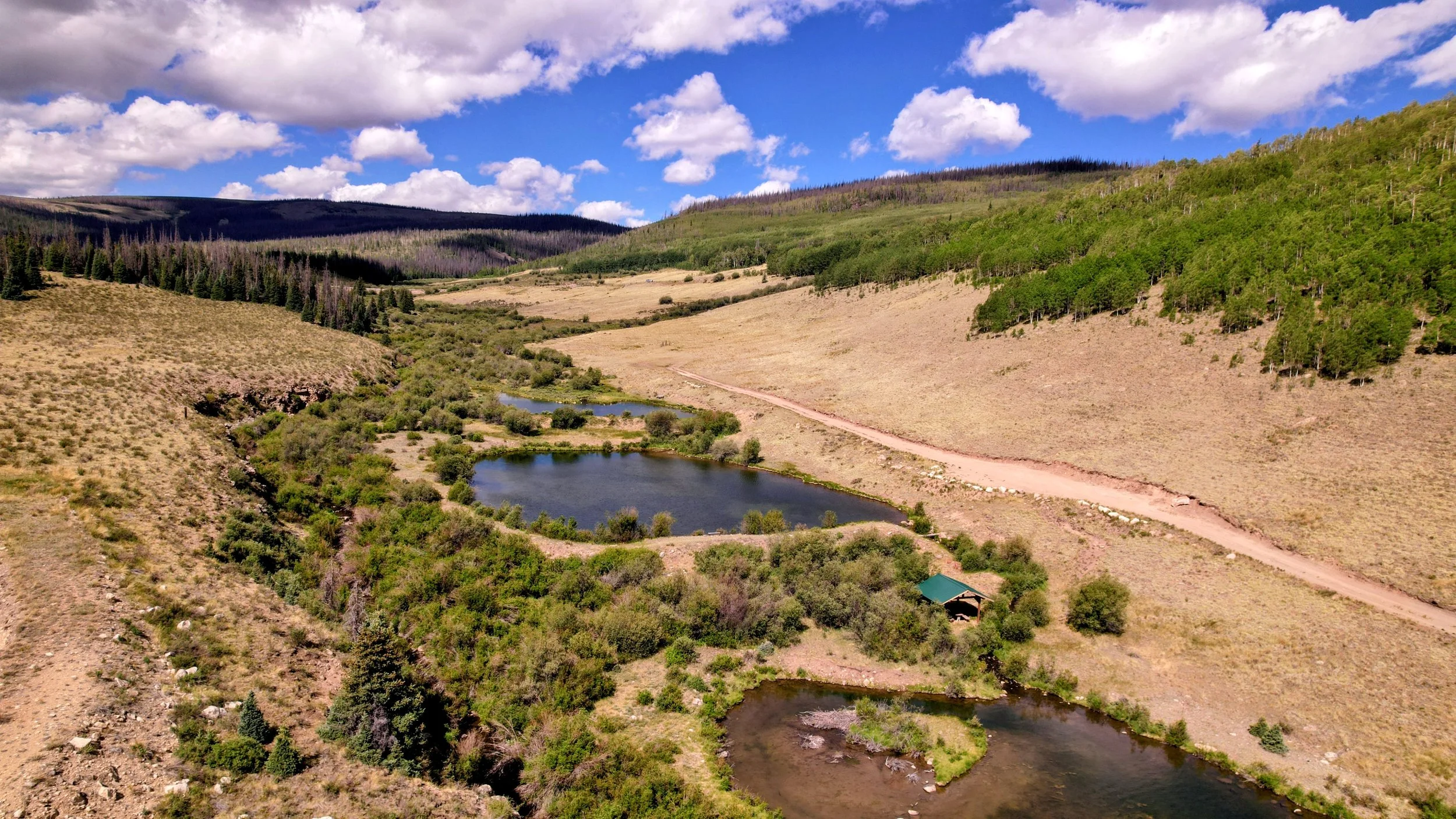 dji_fly_20260630_100606_638_1782846382468_photo~2.jpg