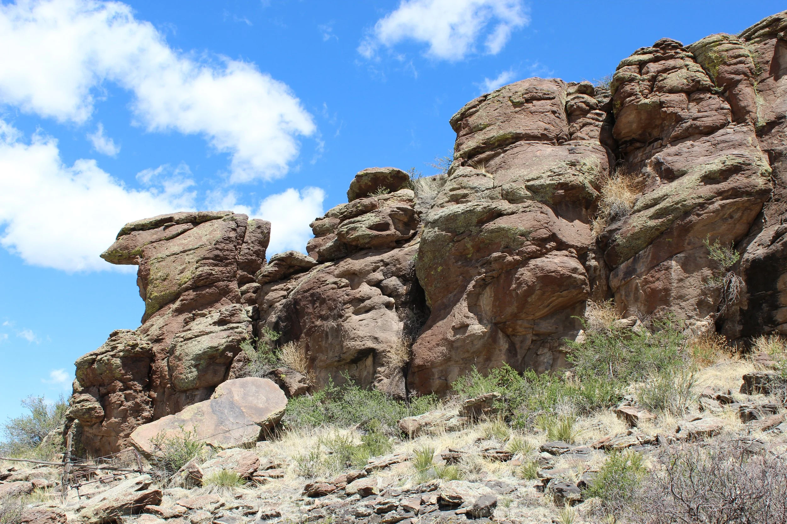 2024-04-20 13.40.25.jpg