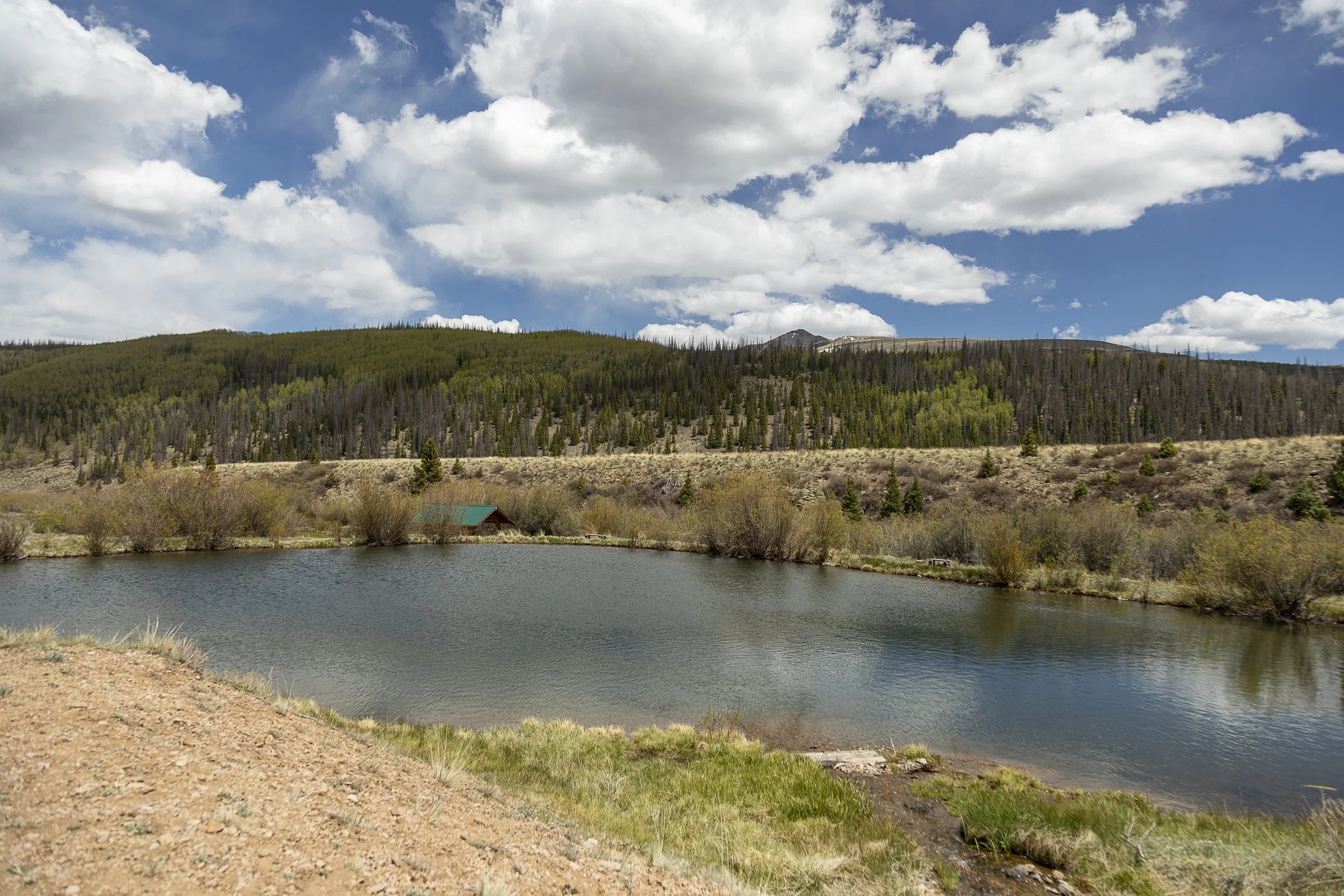 Oleo Ranch Cabins for Sale -4526.jpg
