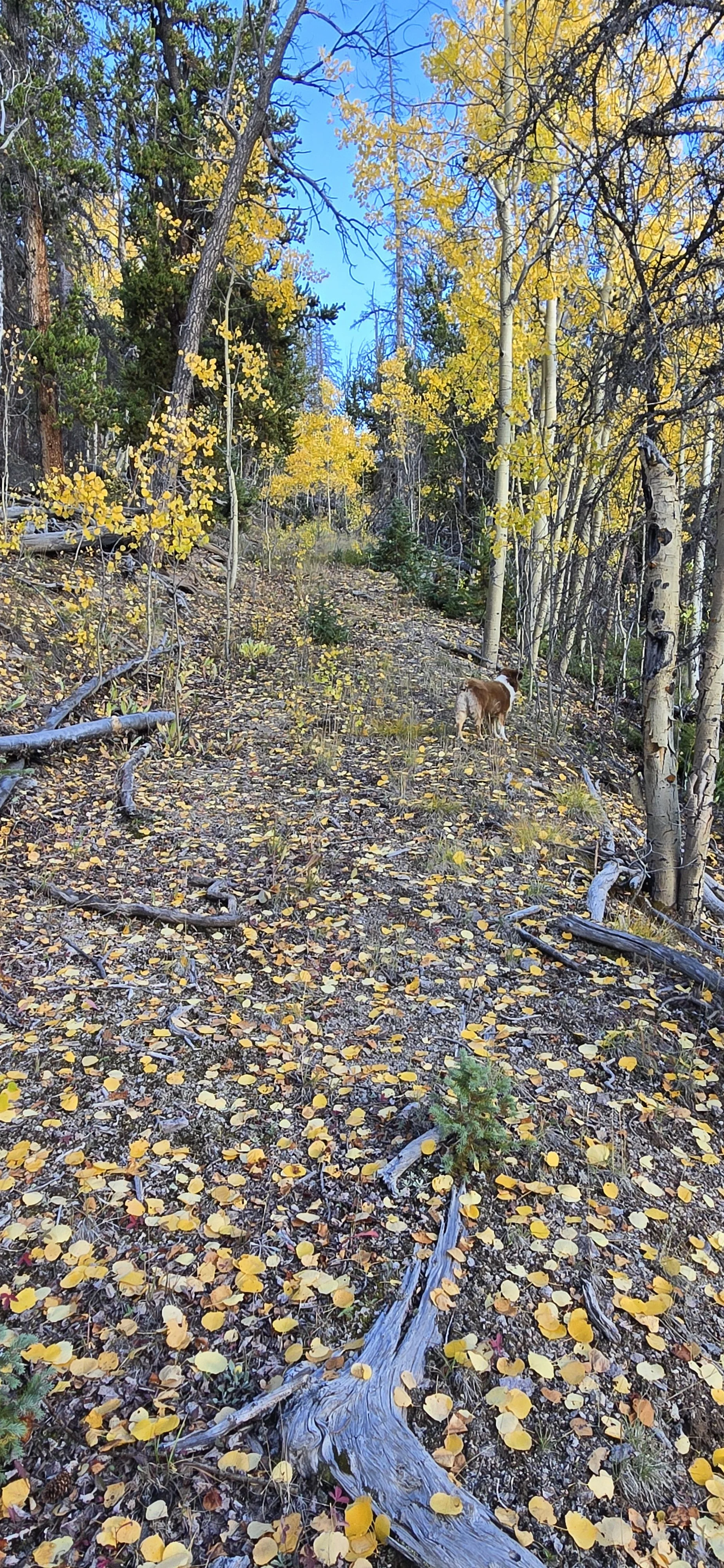 20250925_171948.jpg