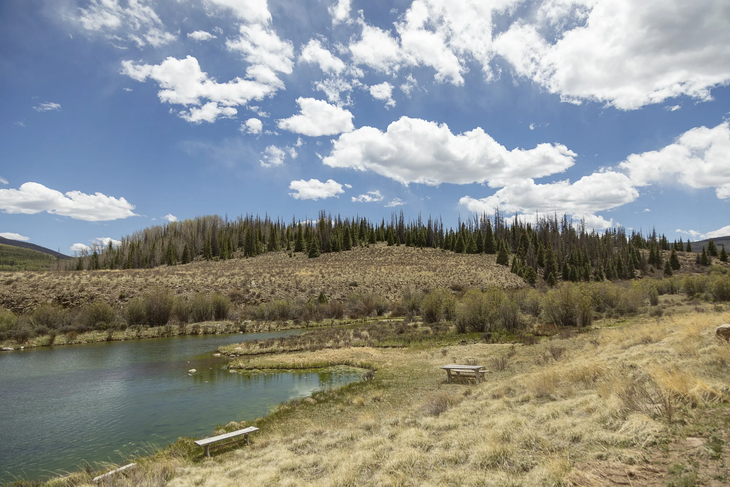 Oleo Ranch Cabins for Sale -4488.jpg