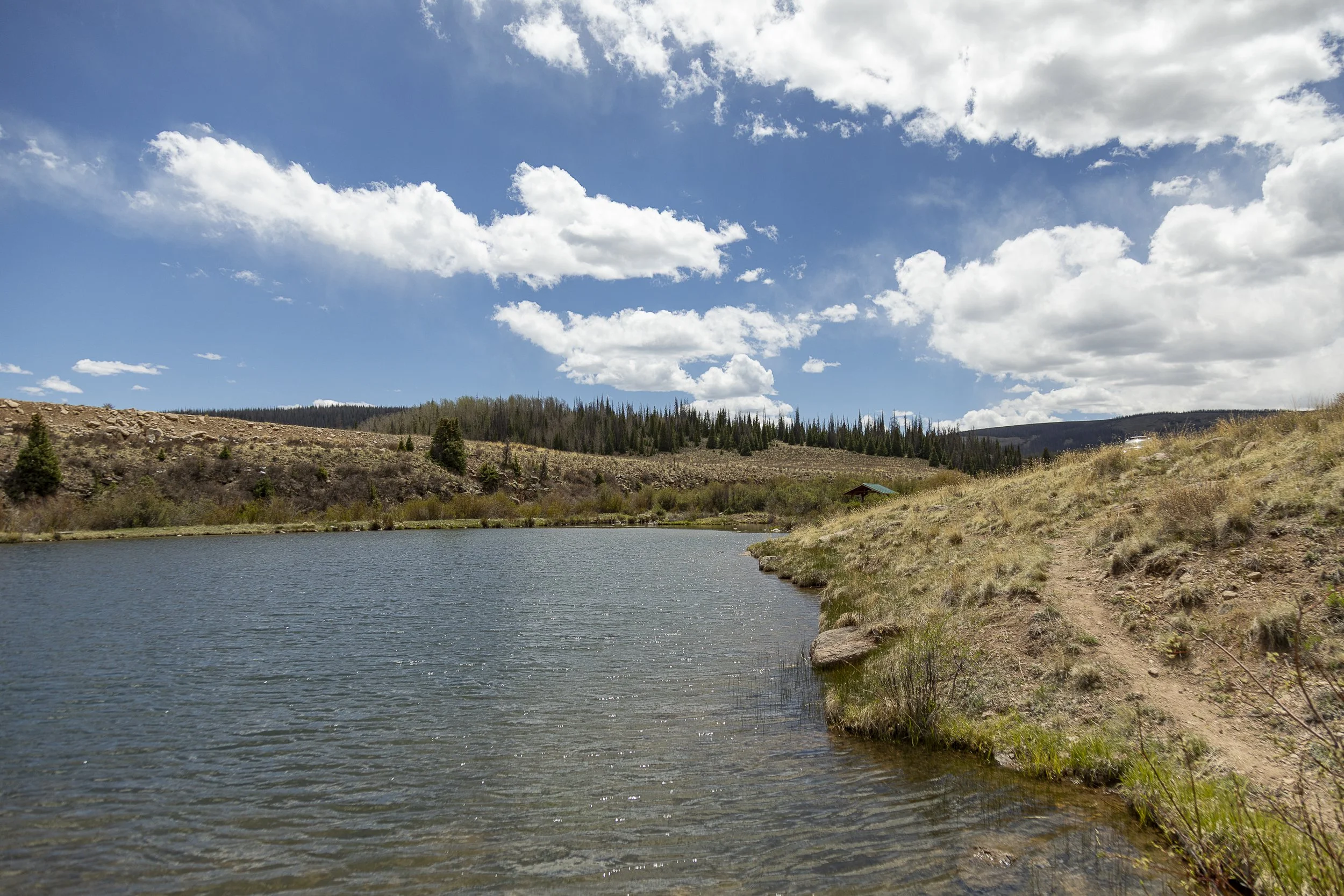 Oleo Ranch Cabins for Sale -4522.jpg