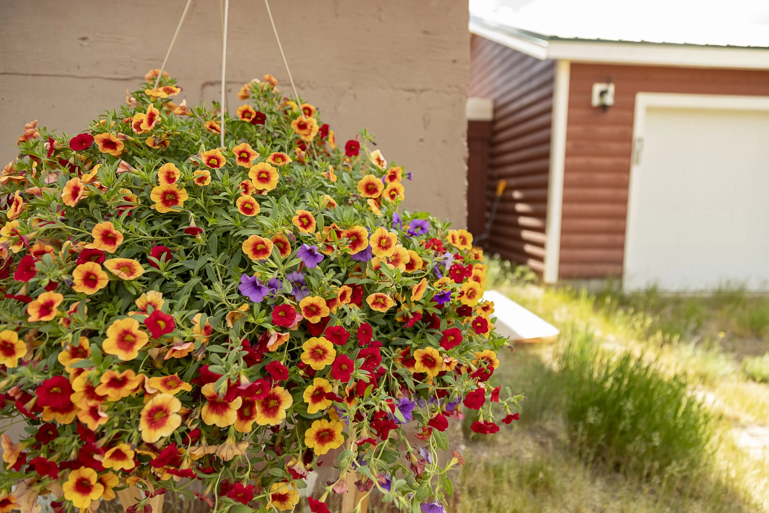 Creede Colorado Real Estate -8895.jpg