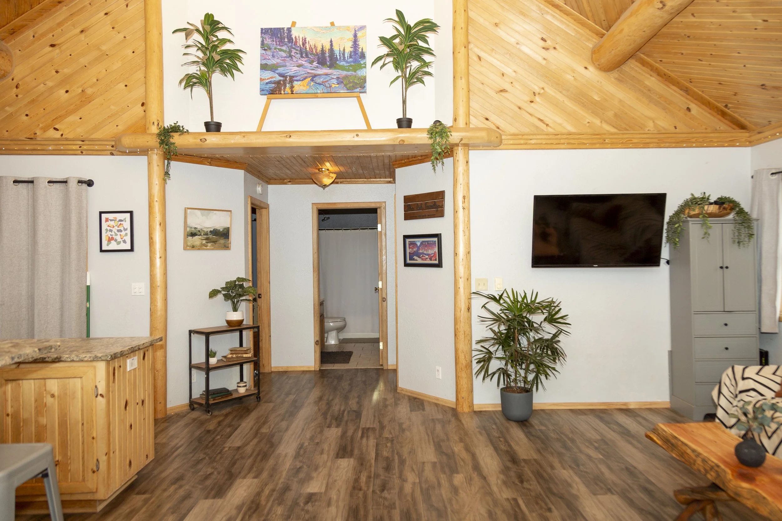 Creede Cabin for Sale -9911.jpg