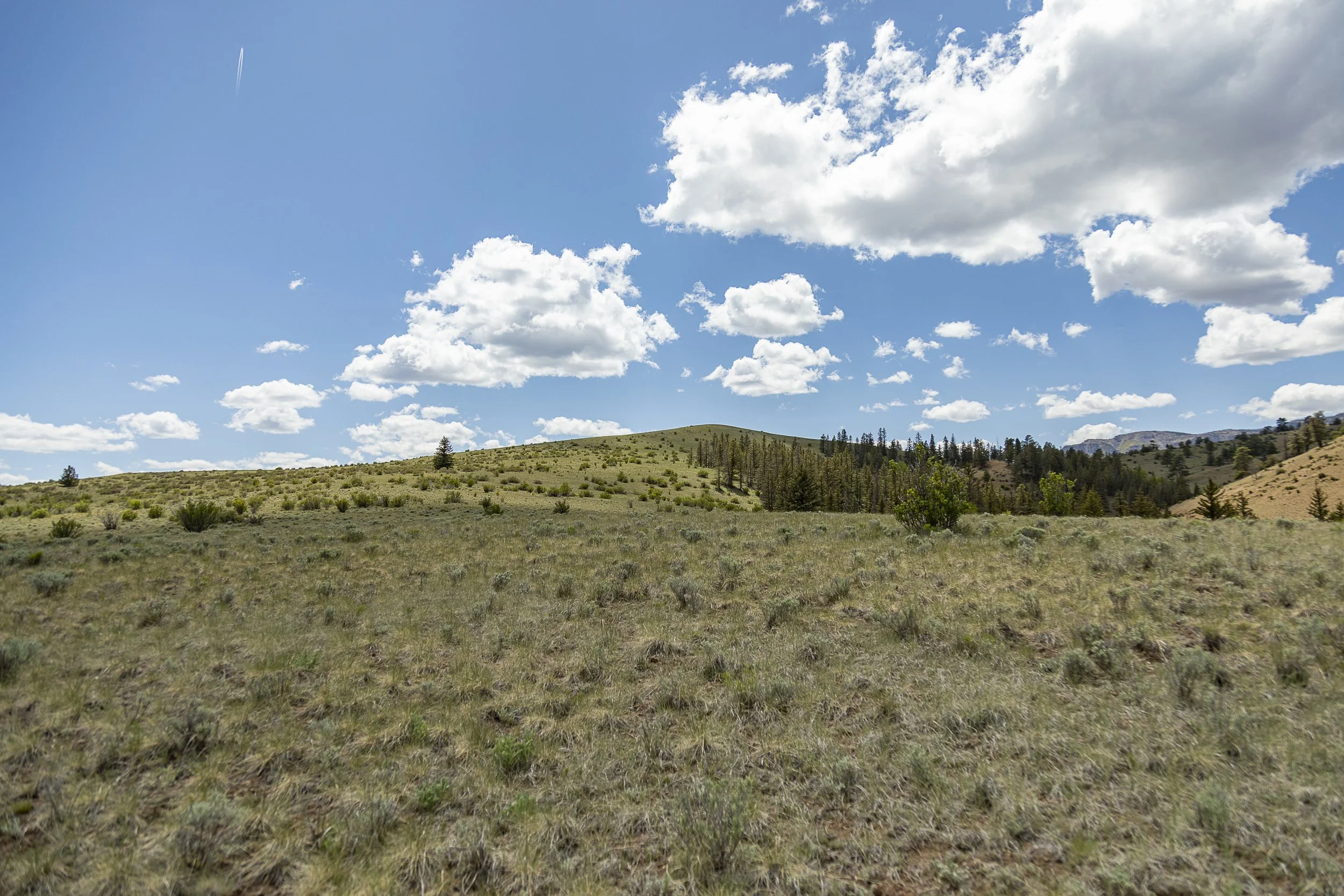 Real Estate Creede Hermit Lakes -1215.jpg
