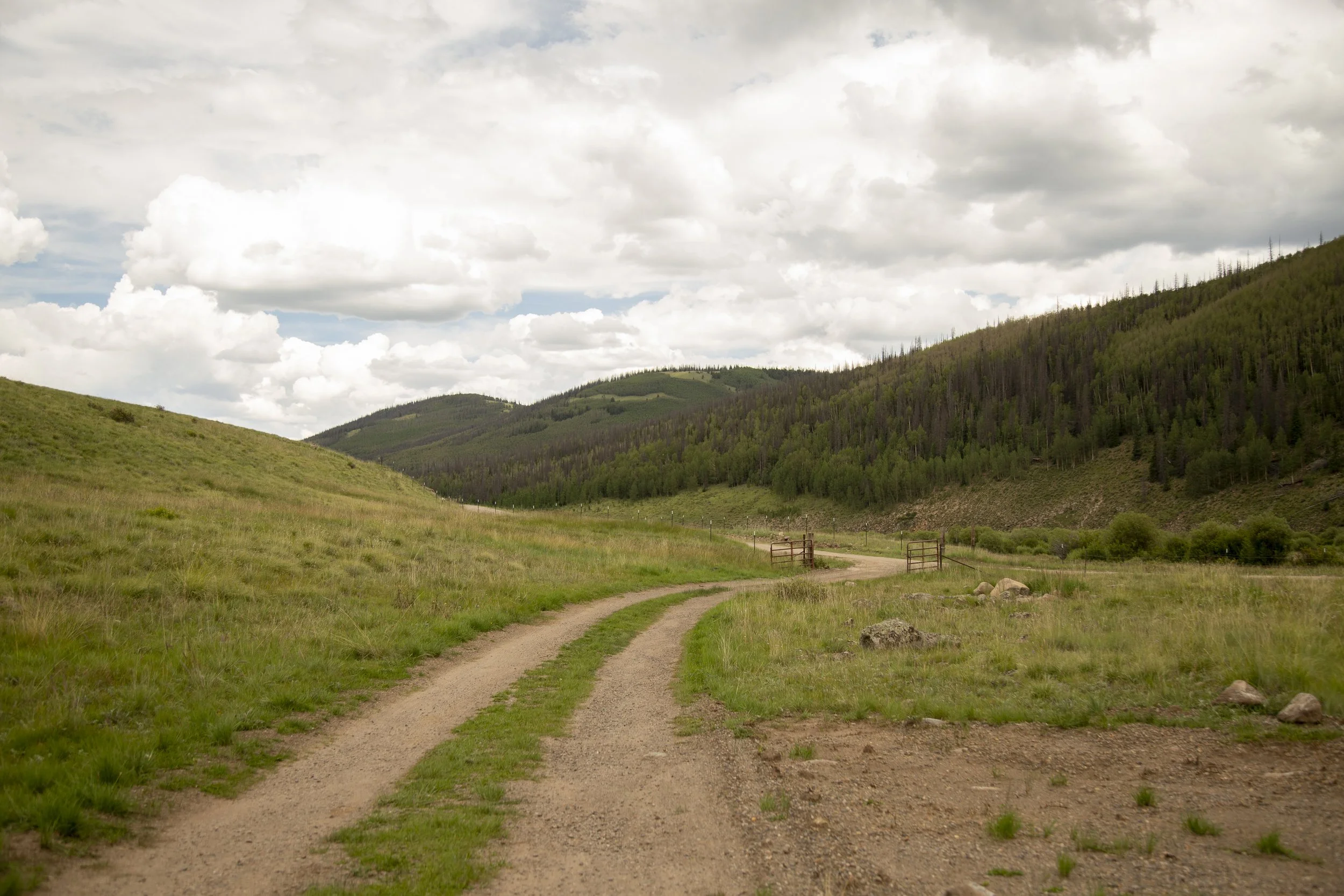 AA6A7634.jpg