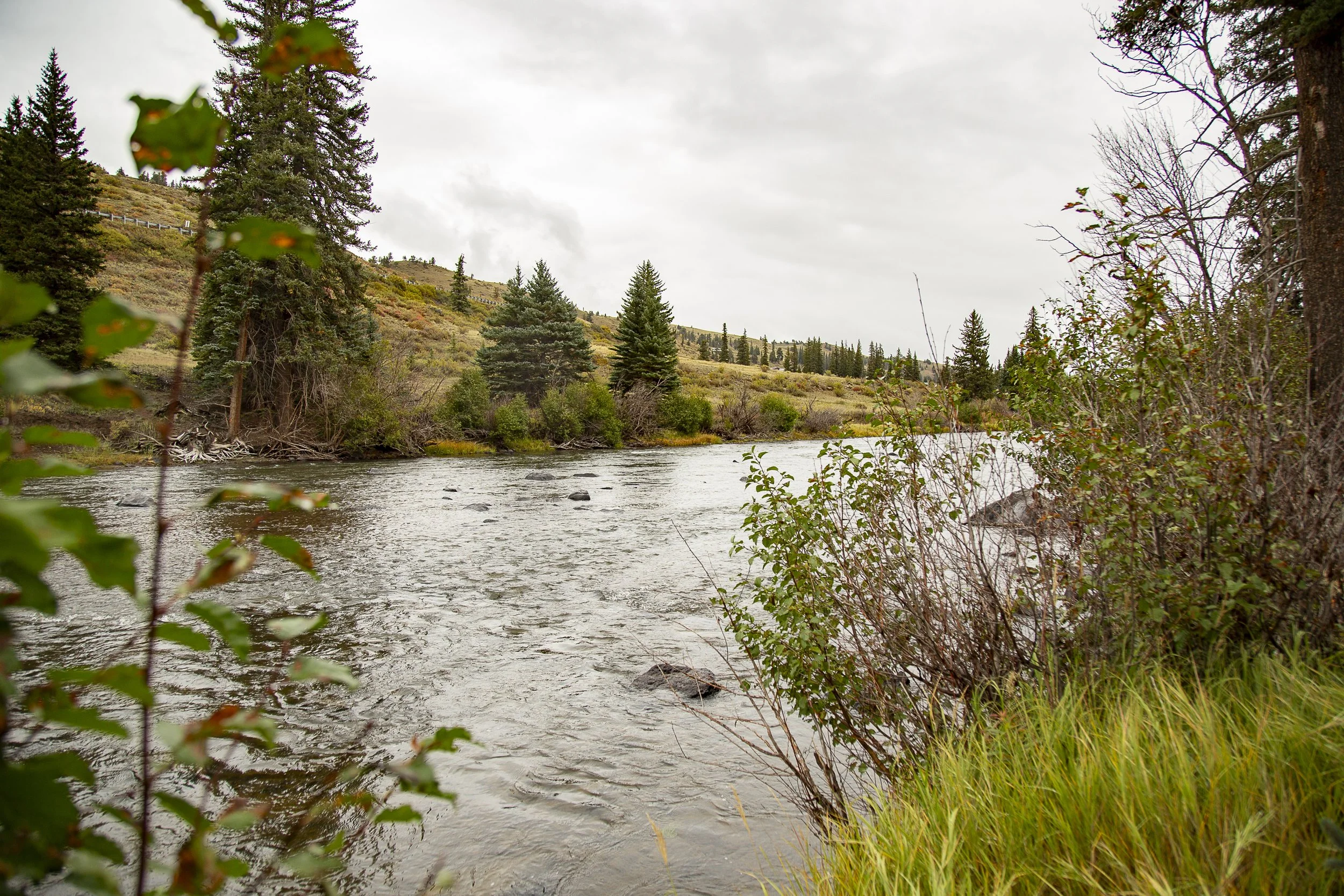 River Front Home in Creede -0387.jpg