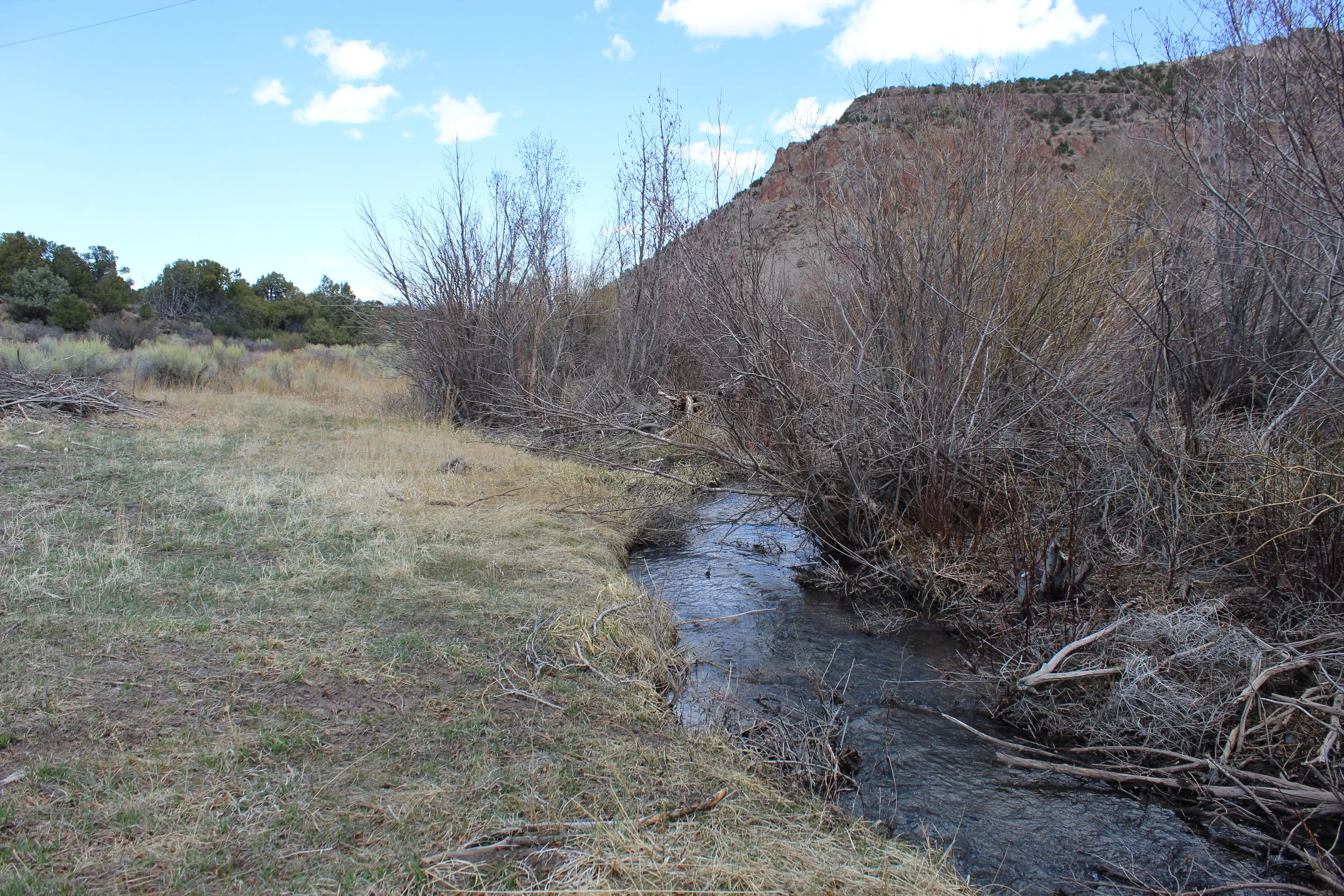 2024-04-20 14.03.18.jpg