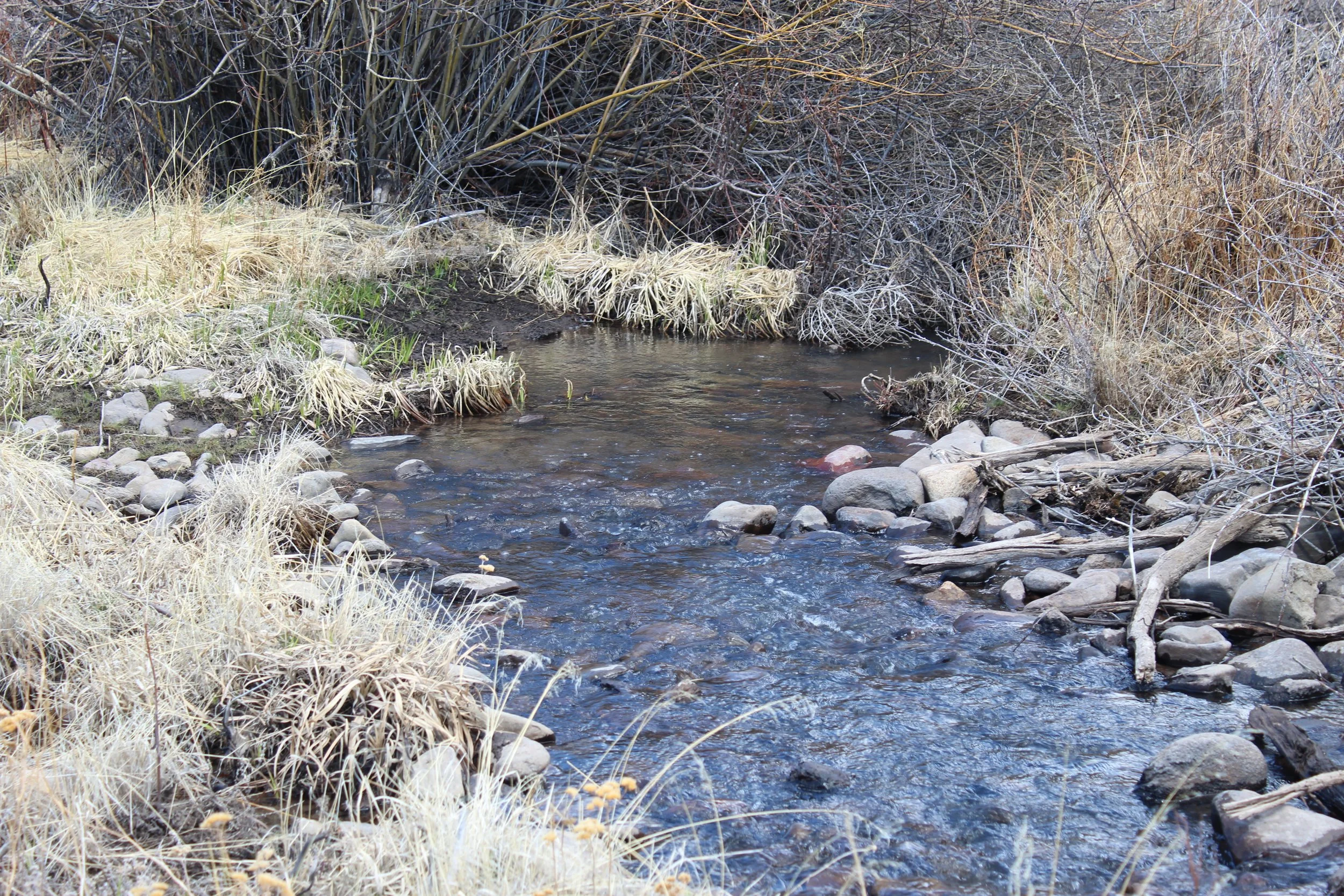 2024-04-20 14.08.06.jpg