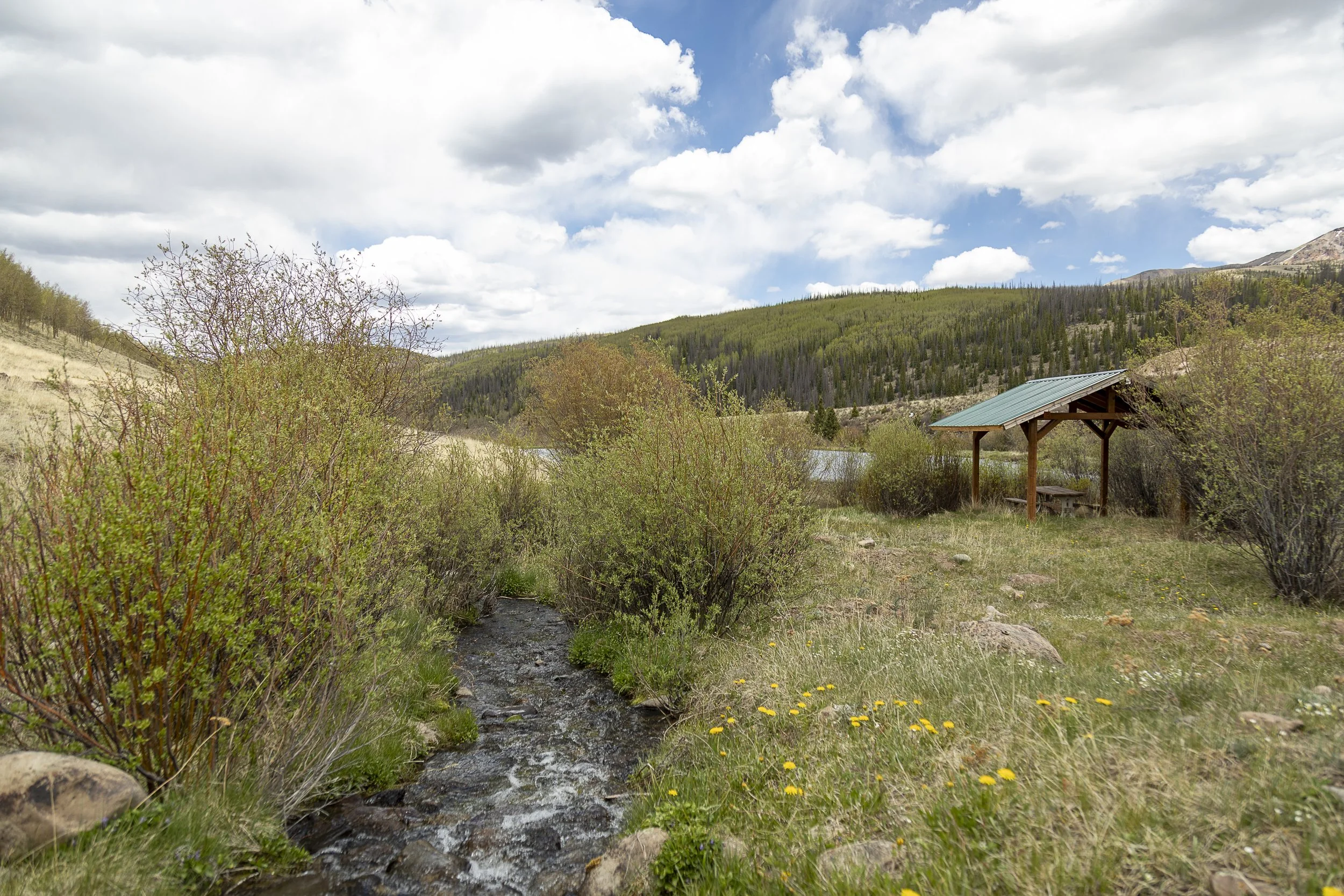 Oleo Ranch Cabins for Sale -4513.jpg