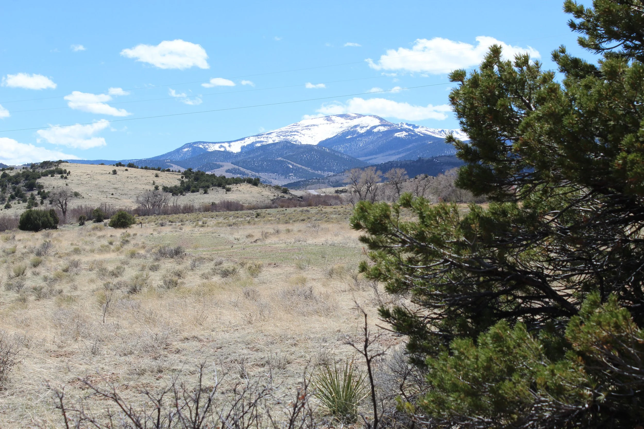 2024-04-20 14.23.47.jpg