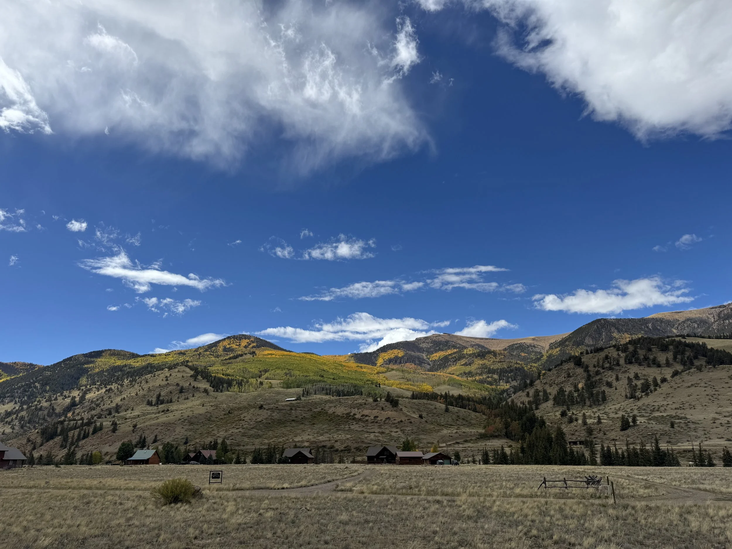 Fall colors from front porch (1).jpeg