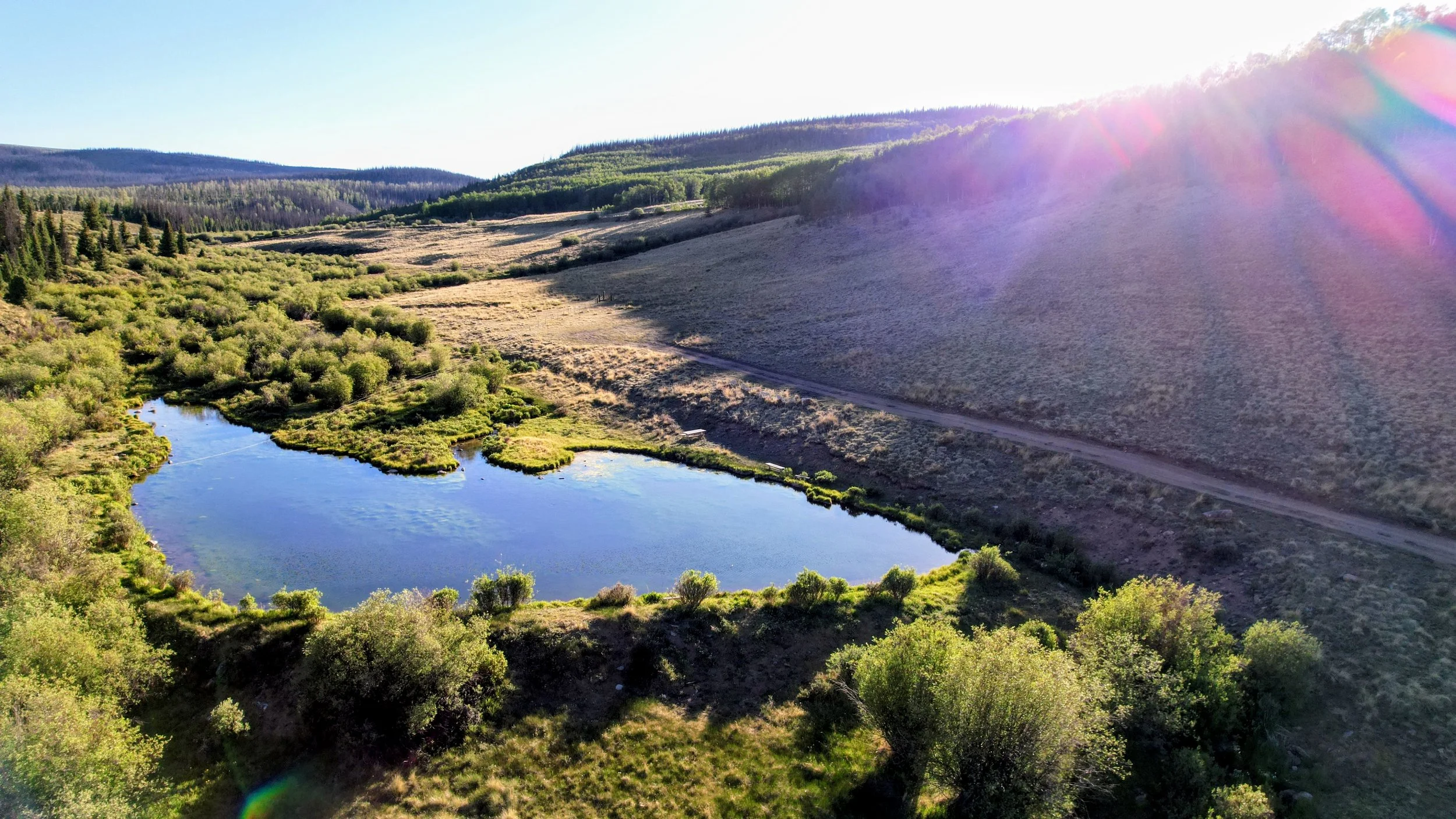 dji_fly_20260618_190118_475_1781836780886_photo~2.jpg