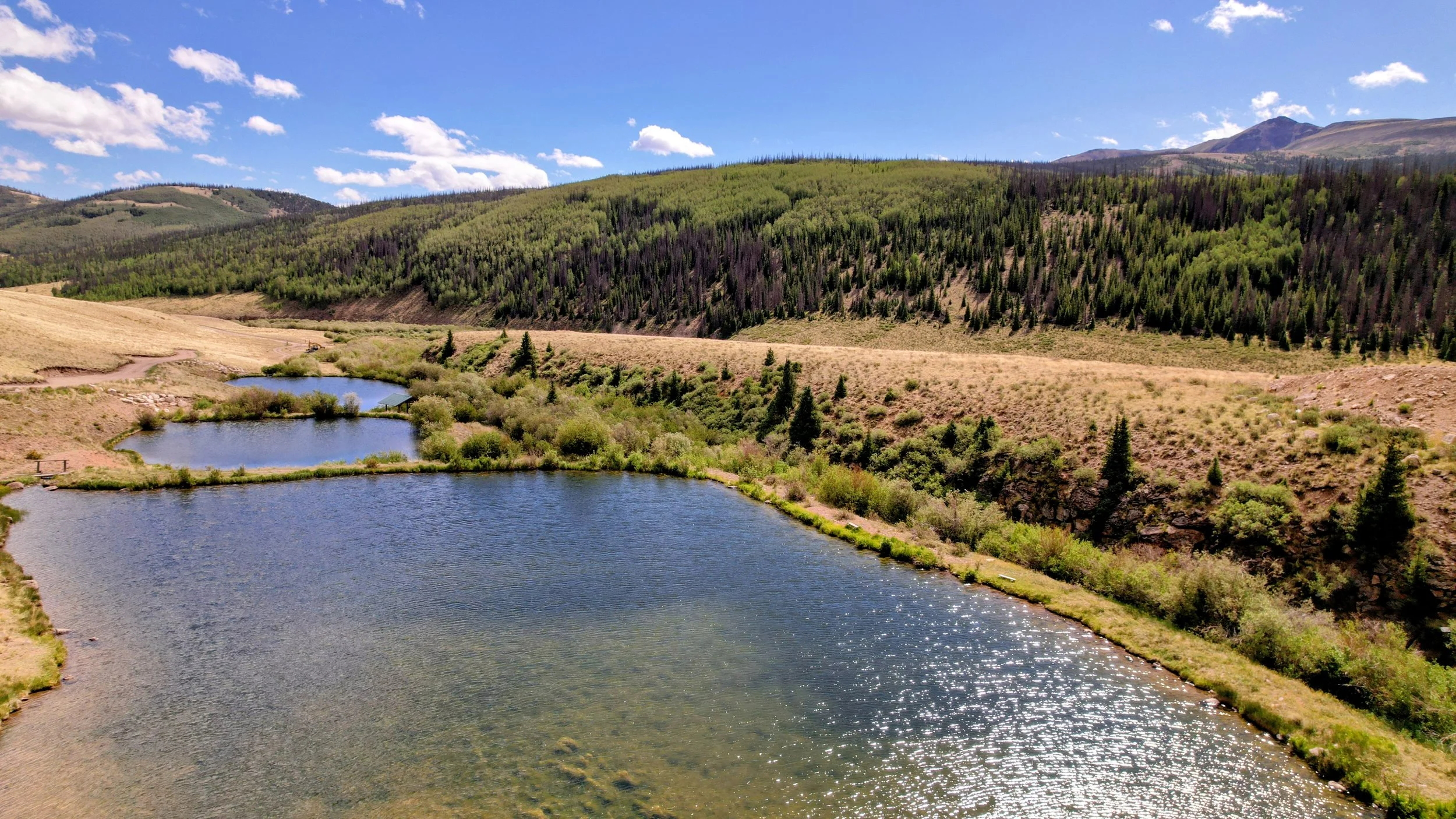 dji_fly_20260630_101222_654_1782846048997_photo~2.jpg