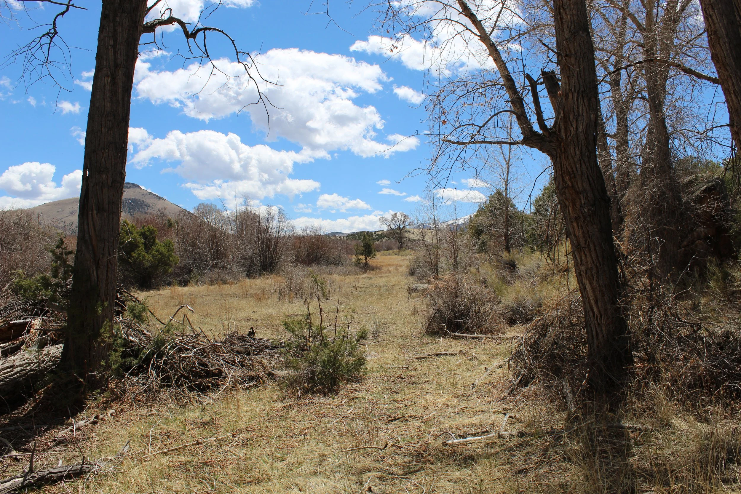 2024-04-20 14.11.14.jpg