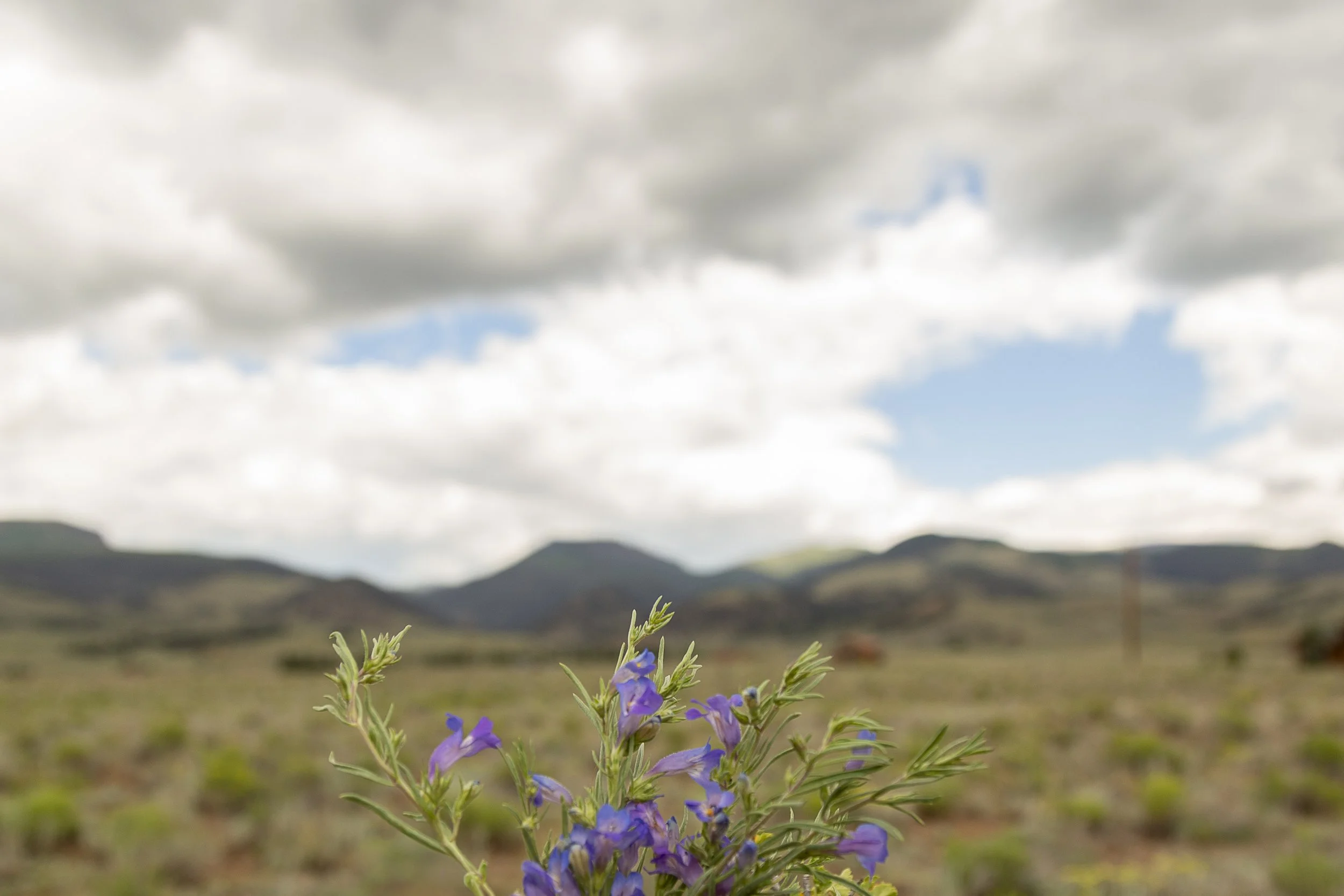 Creede Real Estate-7632.jpg