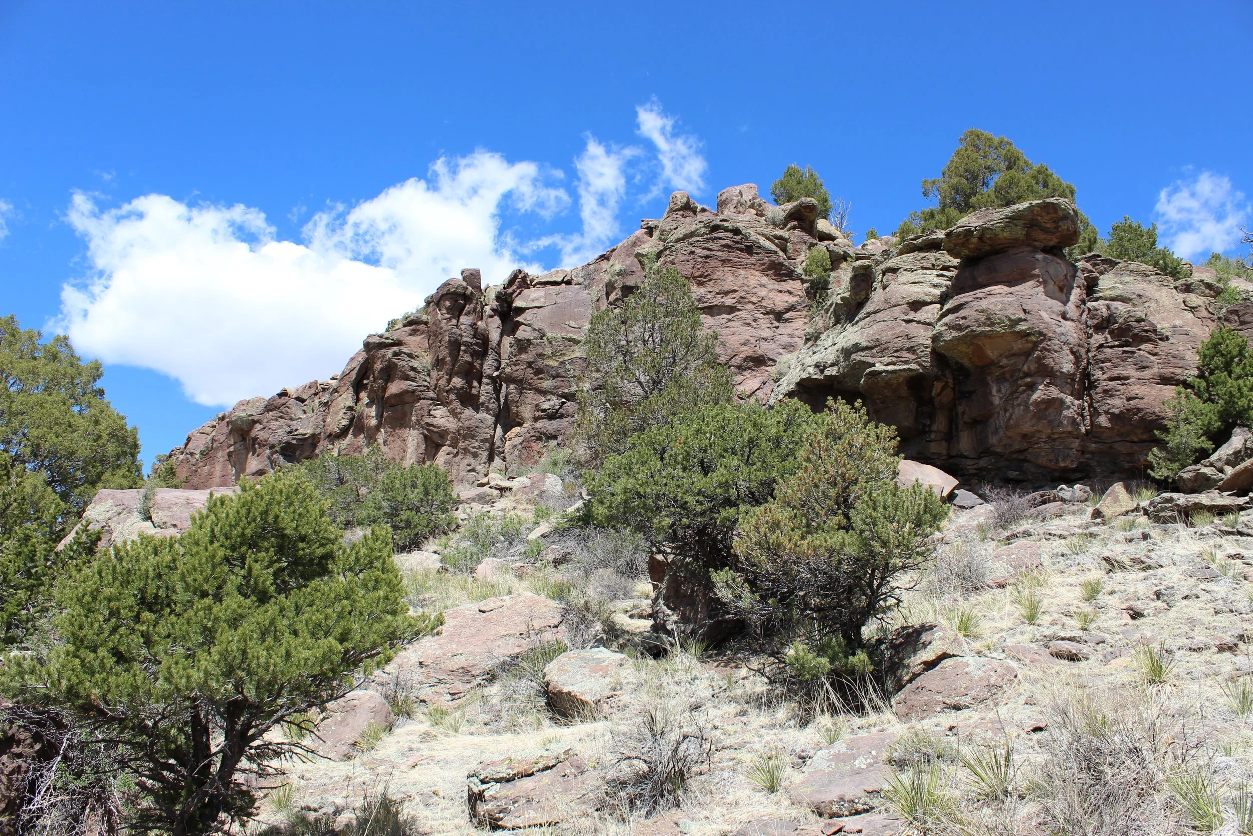 2024-04-20 13.44.30.jpg