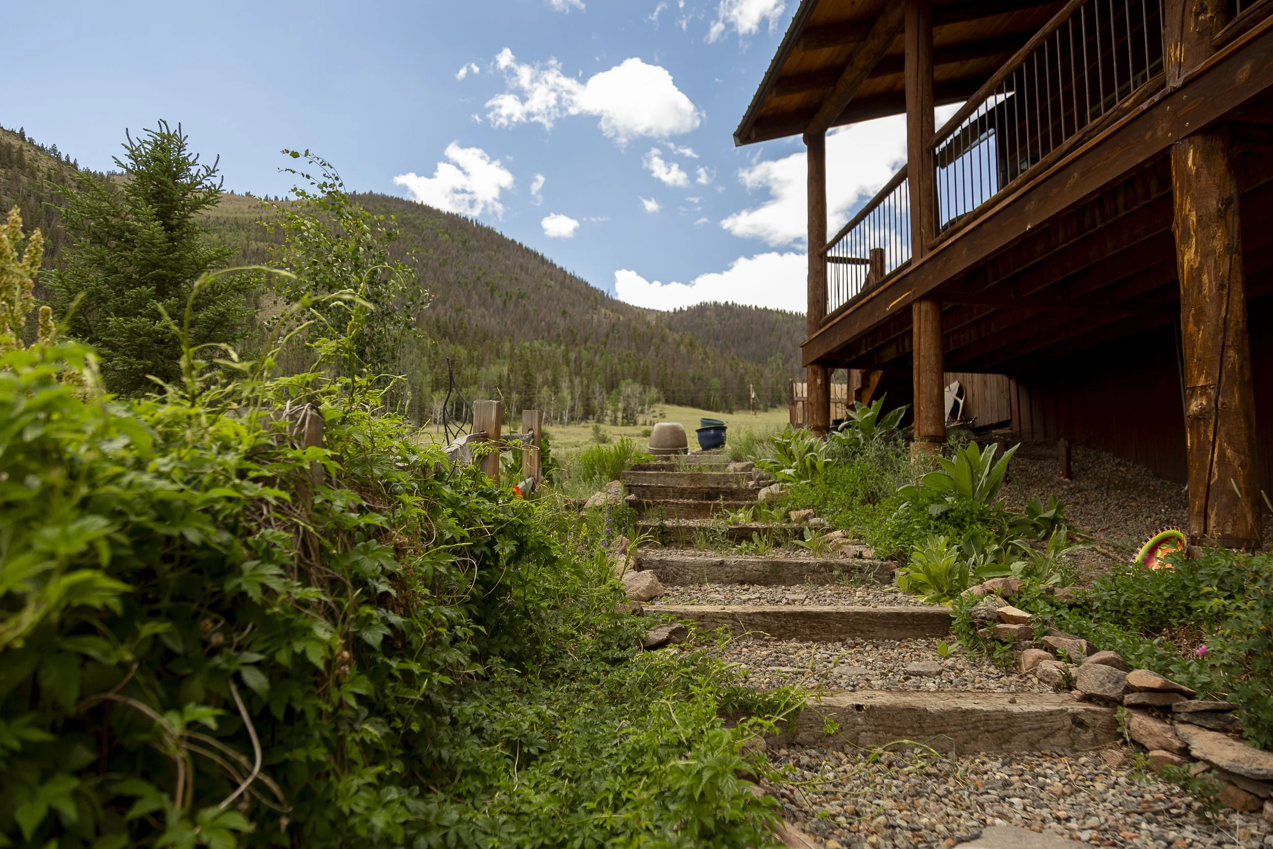 Creede Real Estate-7590.jpg