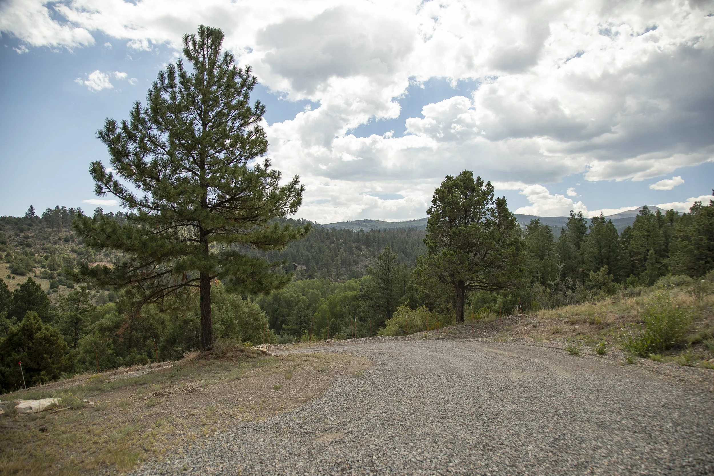 South Fork Rock Home for Sale -8205.jpg