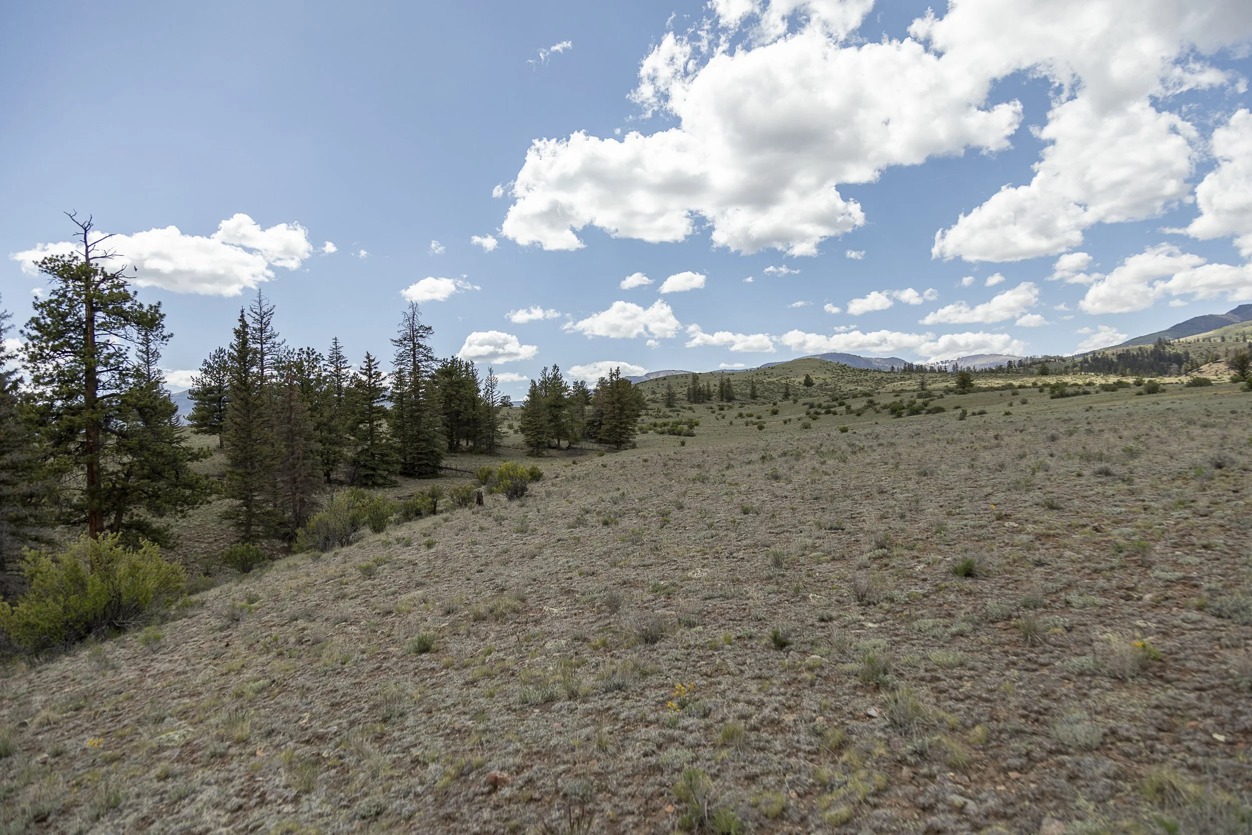Real Estate Creede Hermit Lakes -1286.jpg