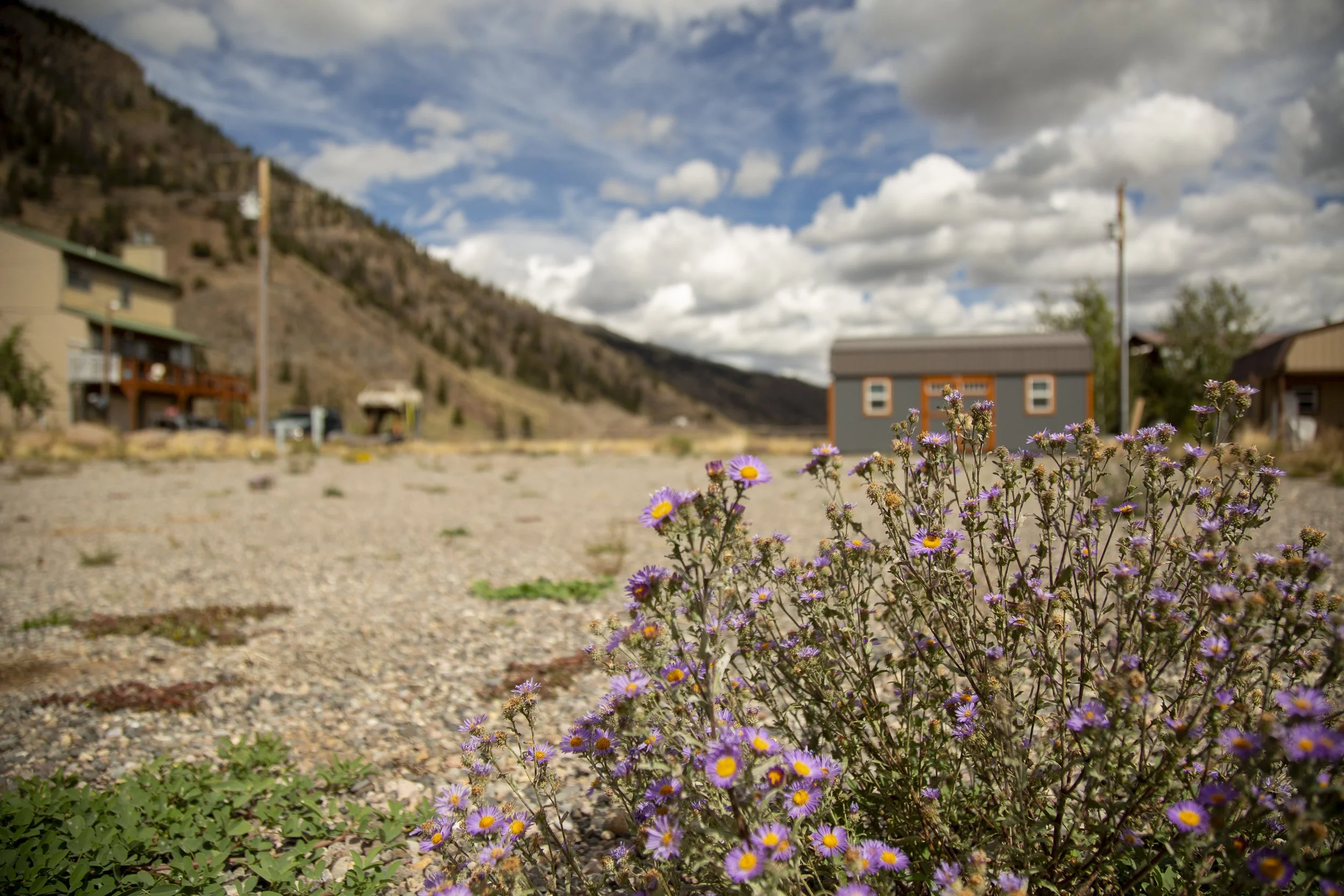 Quarter Acre lot for Sale in Creede-6825.jpg