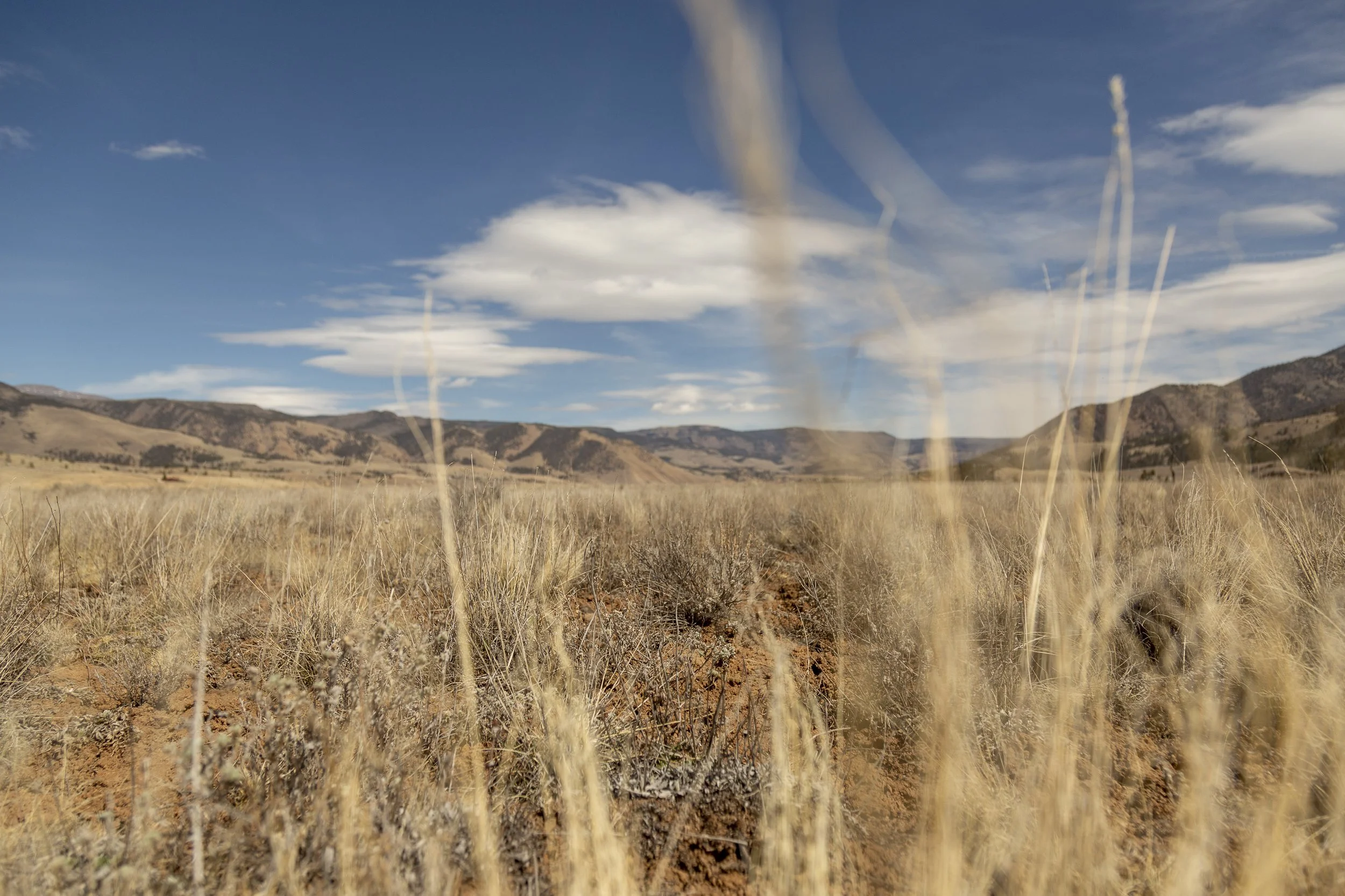 GracieElainePhoto-7131.jpg