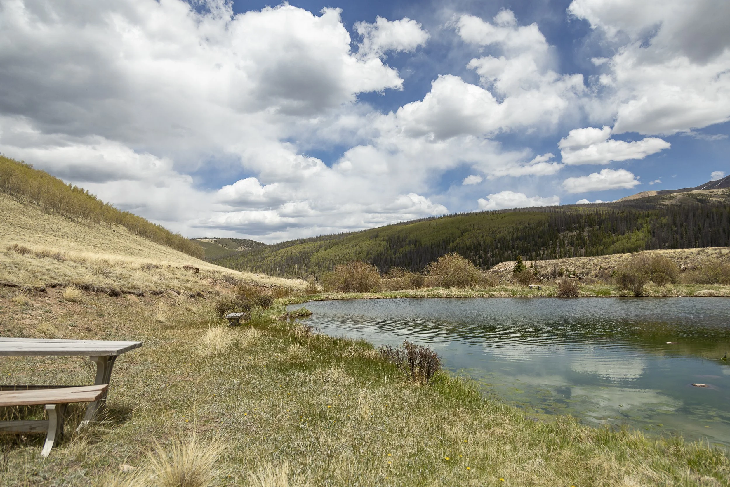 Oleo Ranch Cabins for Sale -4487.jpg