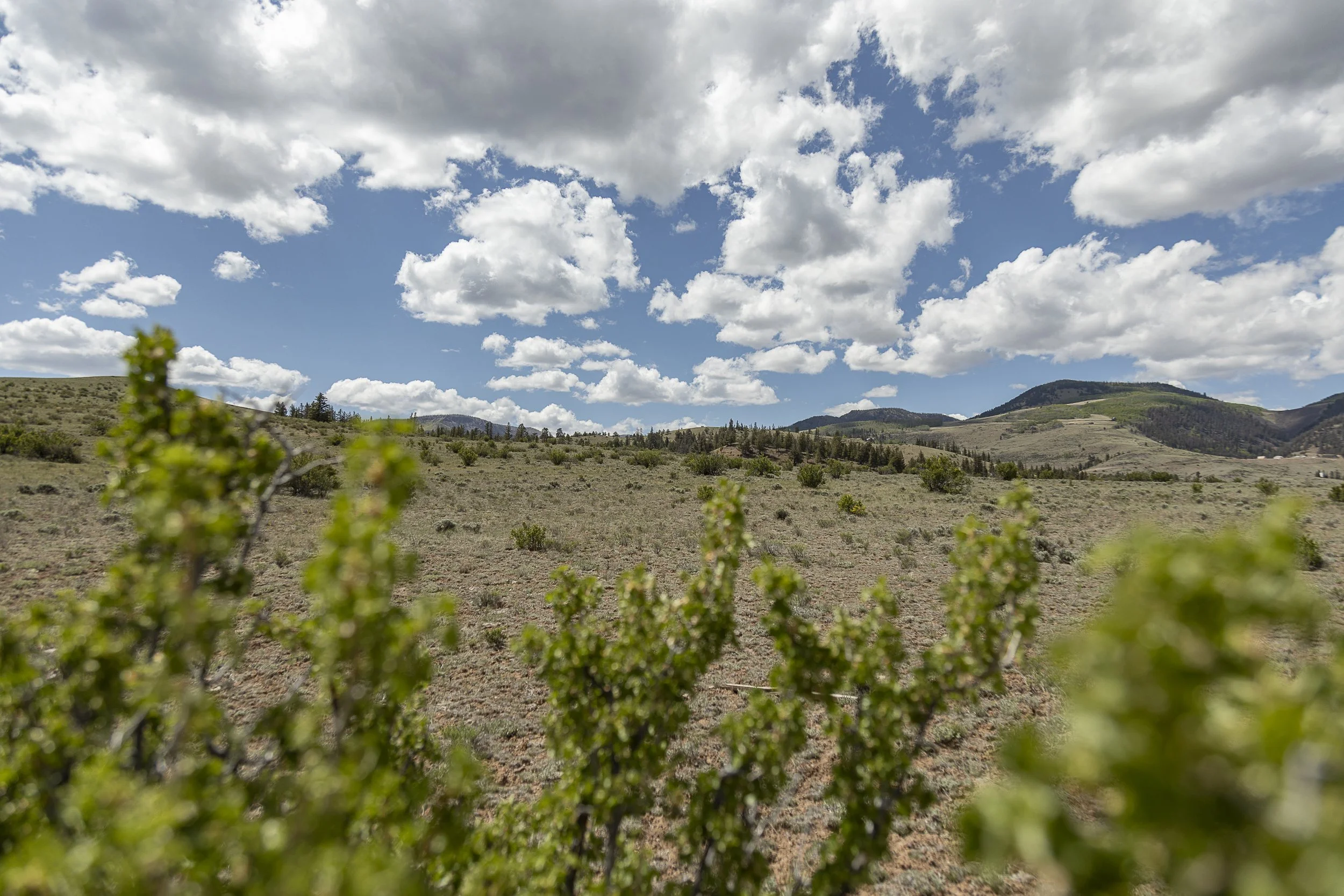 Real Estate Creede Hermit Lakes -1243.jpg