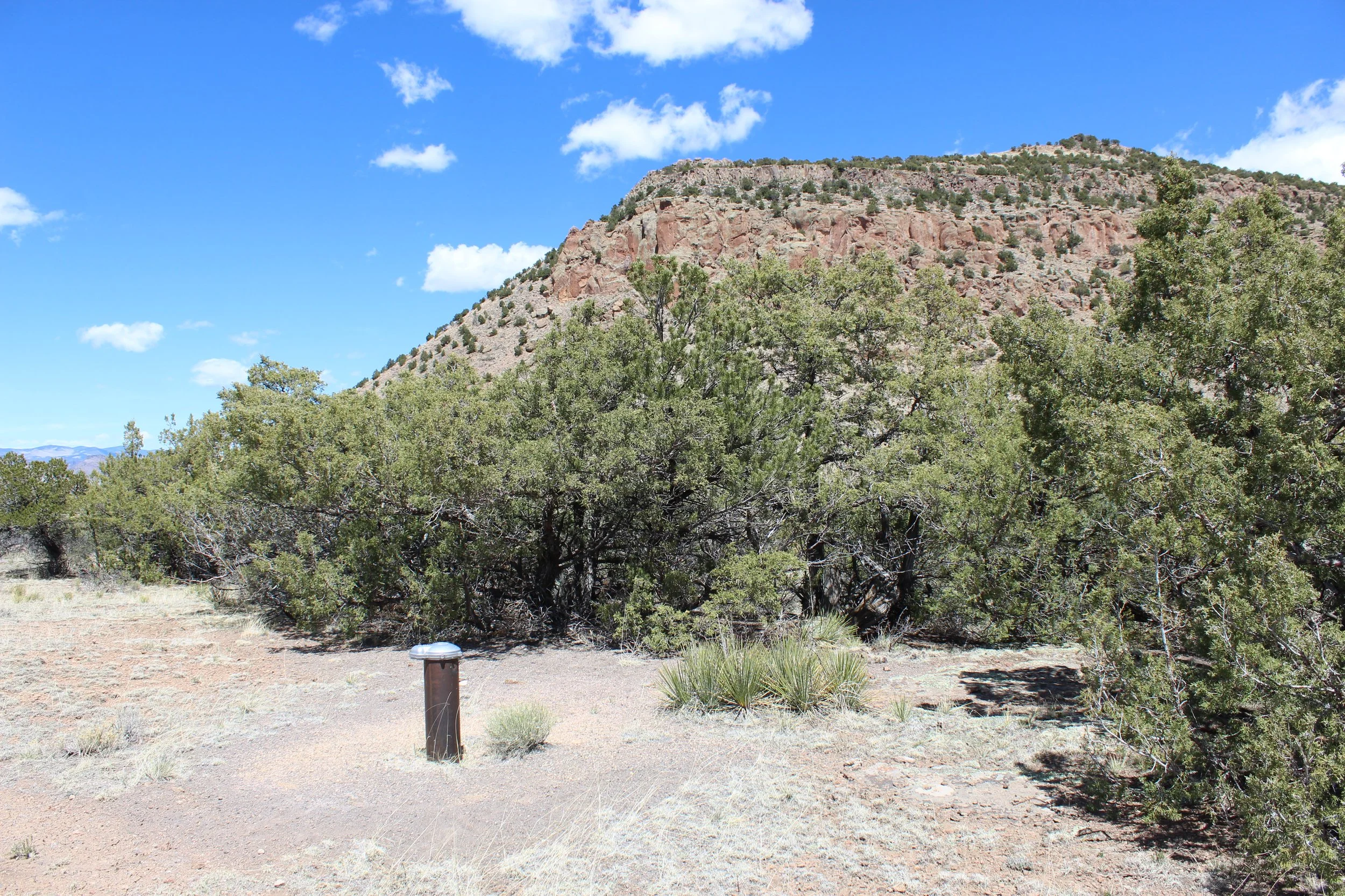 2024-04-20 14.22.28.jpg