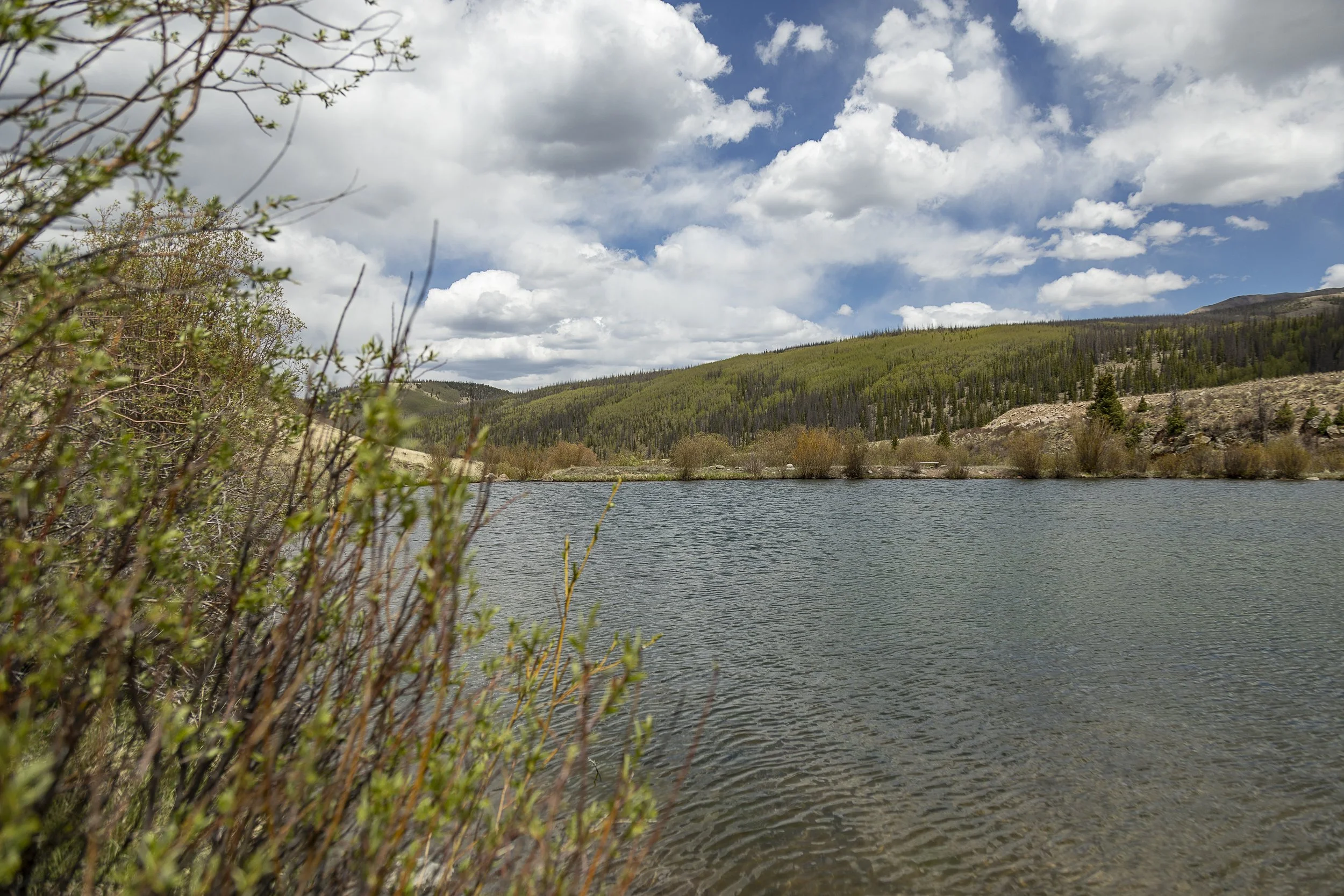 Oleo Ranch Cabins for Sale -4492.jpg