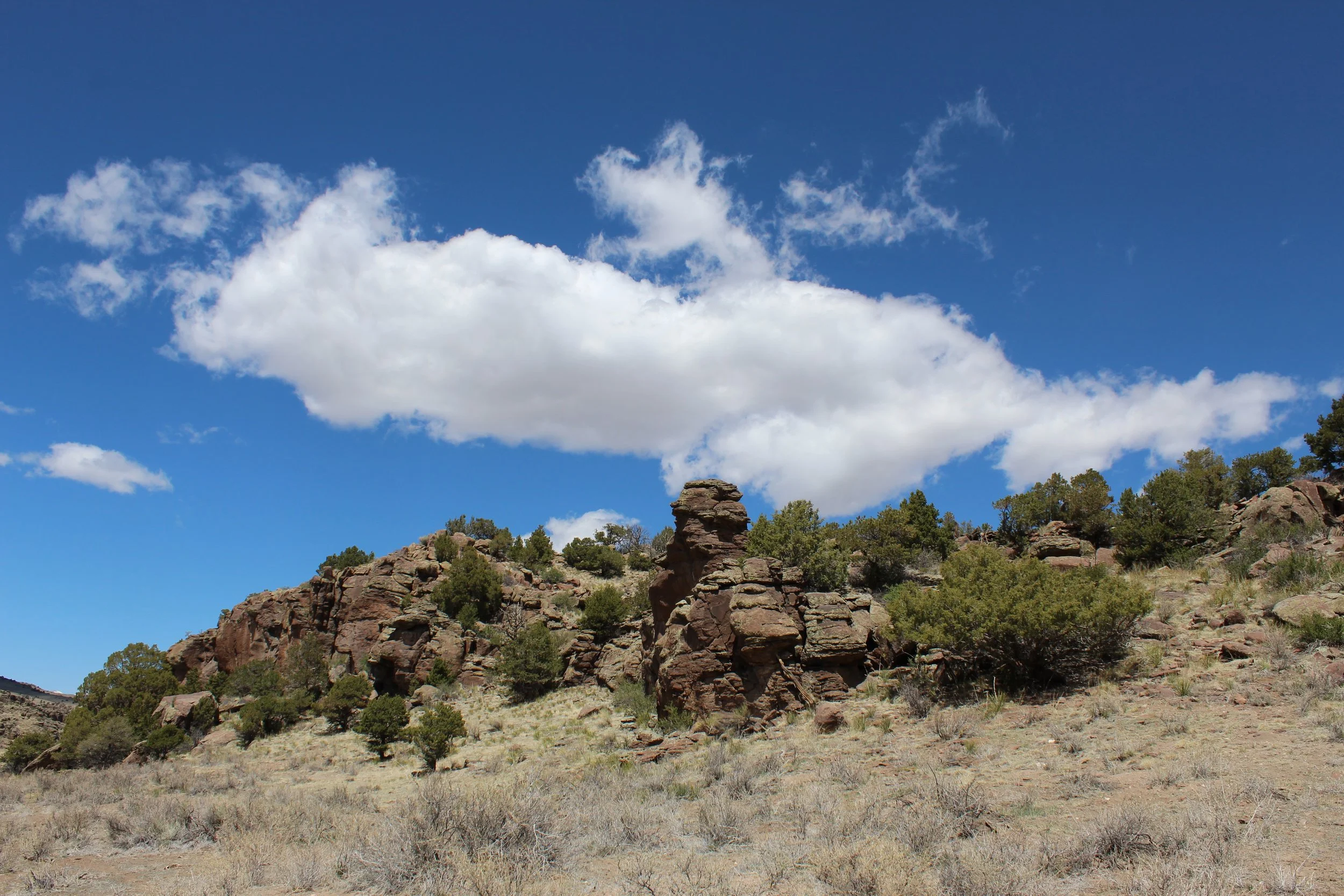 2024-04-20 13.46.27.jpg