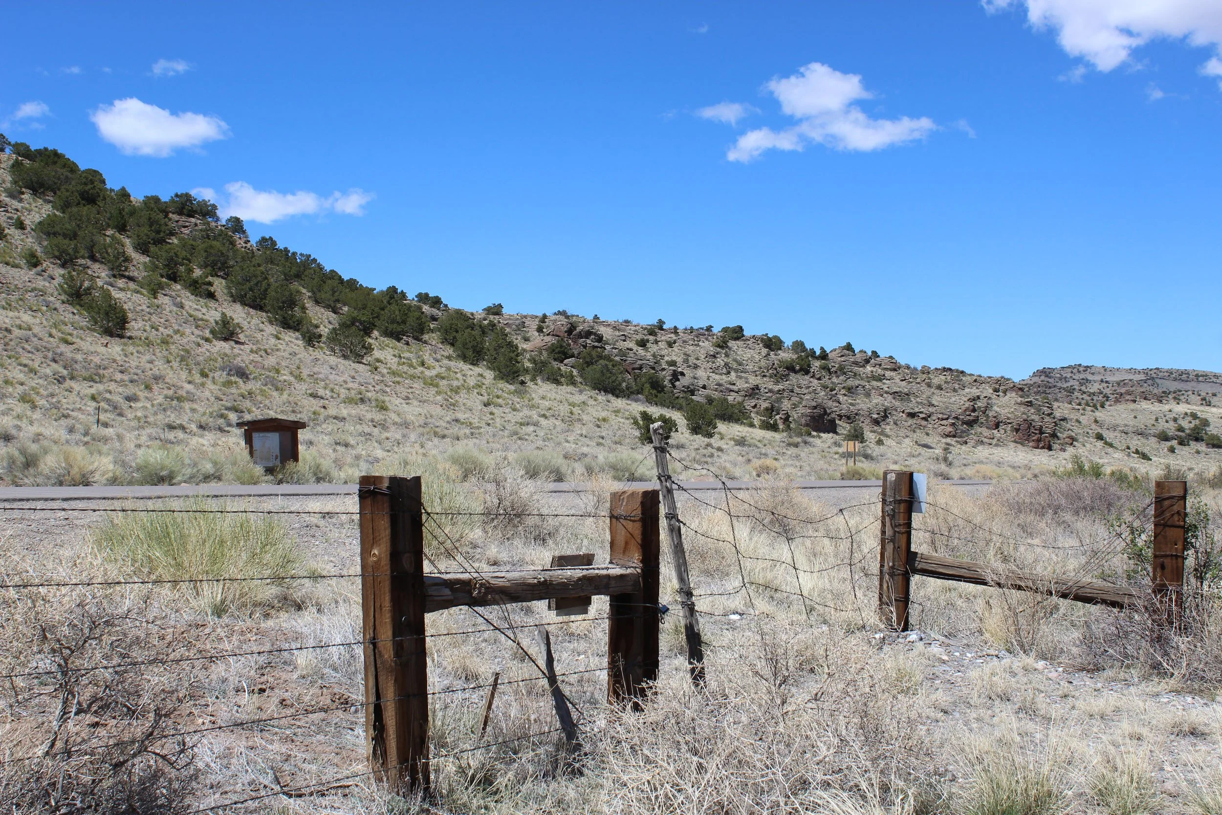 2024-04-20 13.41.10.jpg