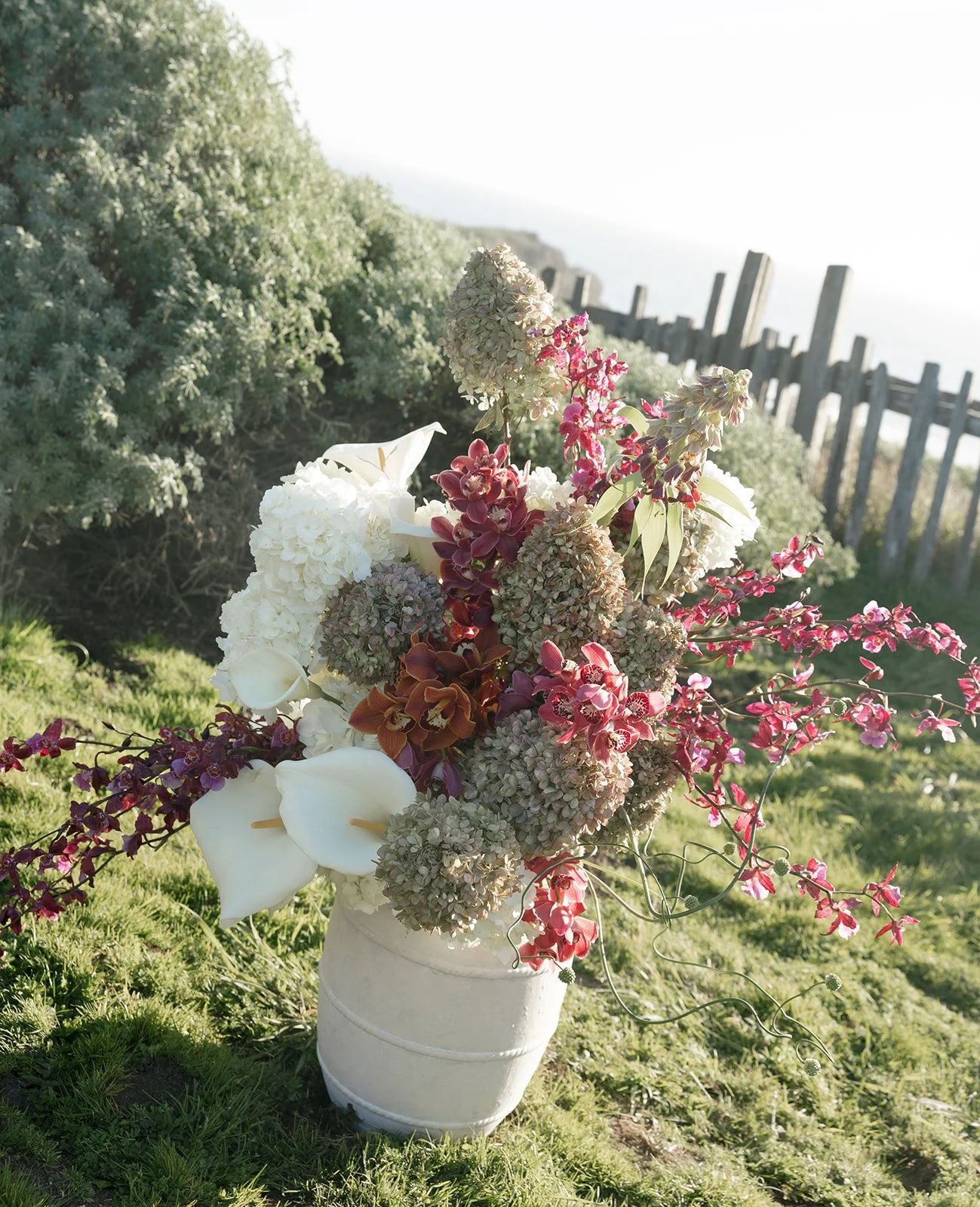 Baylie and Cat Previews-1-78_websize.jpg