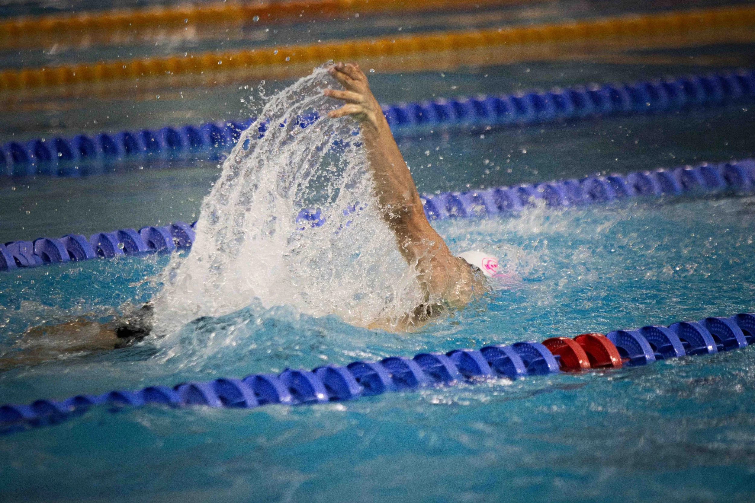 VarsitySwimming25--41.jpg