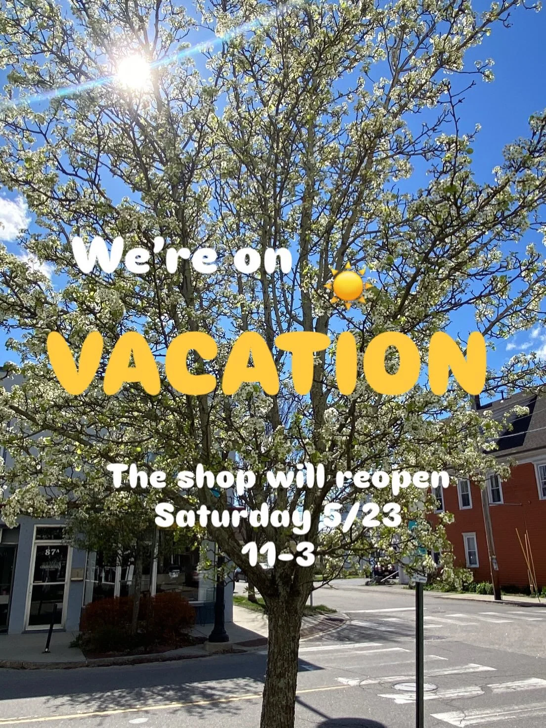 ☀️SHOP UPDATE We&rsquo;re taking a little spring break and heading out West to Utah/Zion NP with the fam. It&rsquo;s tough to be away from the shop I love but I&rsquo;m excited to get away and make some amazing memories! ❤️ You might see some updates
