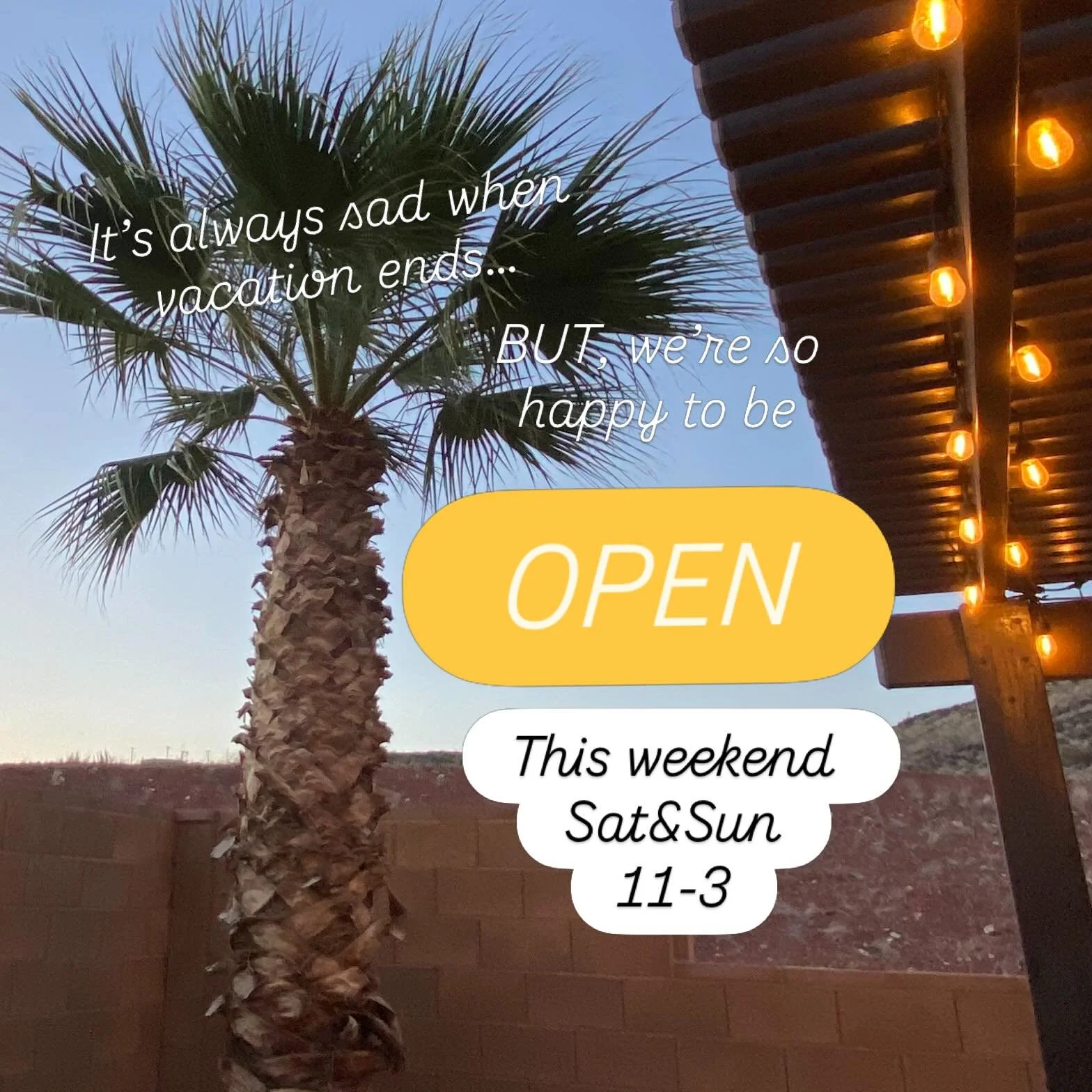 ☀️We&rsquo;re back from an awesome vacation and can&rsquo;t wait to fancy up the shop and welcome you in! We&rsquo;ve missed seeing you all and hope to see you this holiday weekend! ☀️👙We&rsquo;re open 11-3 both Saturday and Sunday-come say hi! 
.
#