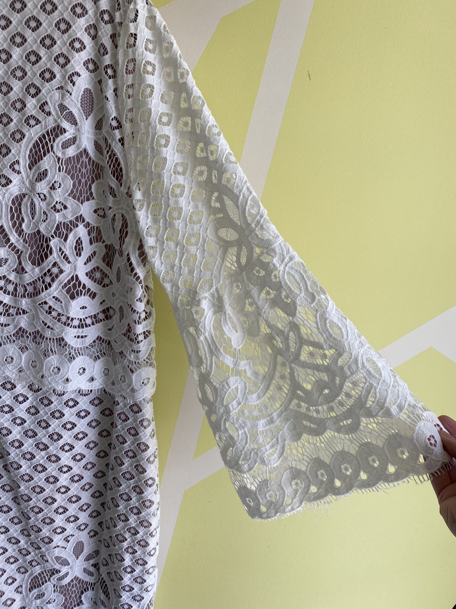 Lace overlay dress  Artemis Plus Size Thrift