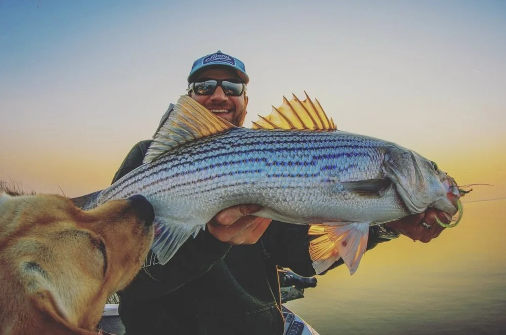 Cali fish