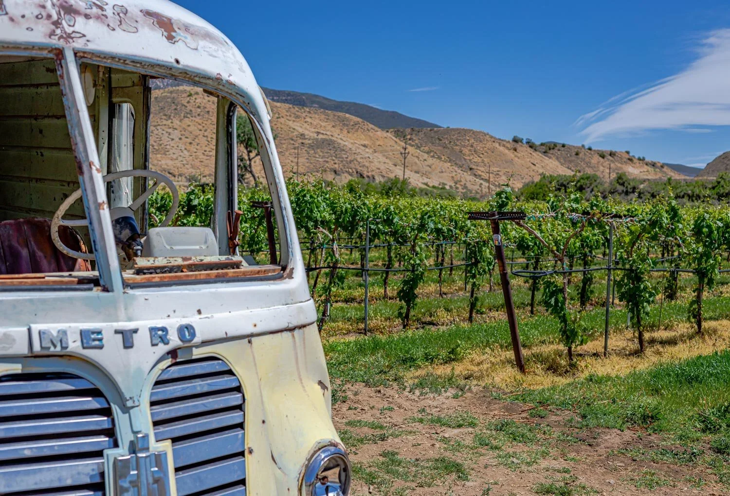 Sauvage Spectrum Vineyard