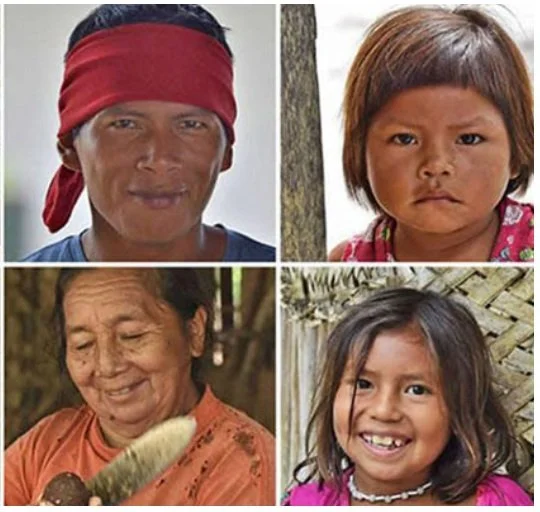 Registry Flor de Inírida | Conserva y Actúa Hoy — PlanetAI Nature Space
