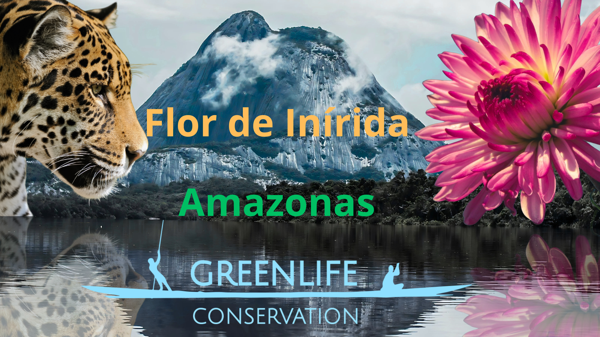 Imagen de una flor rosa, un jaguar, una montaña y un río, con texto que dice 'Flor de Inírida, Amazonas' y el logo de Greenlife Conservation.