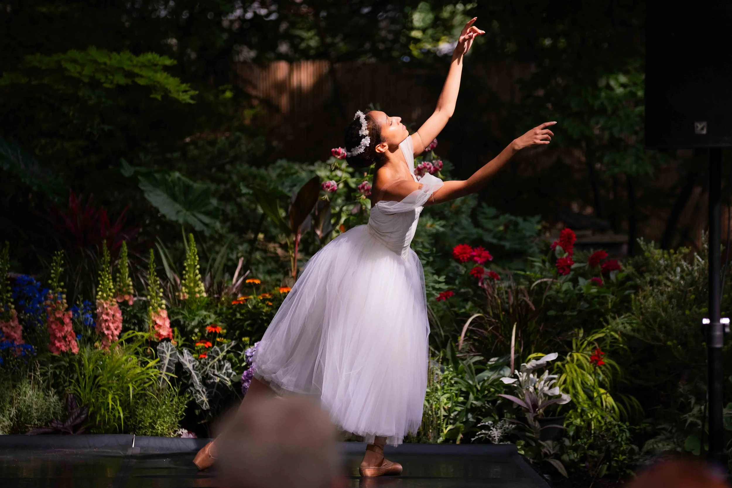 Marys Garden Aug8-43.jpg