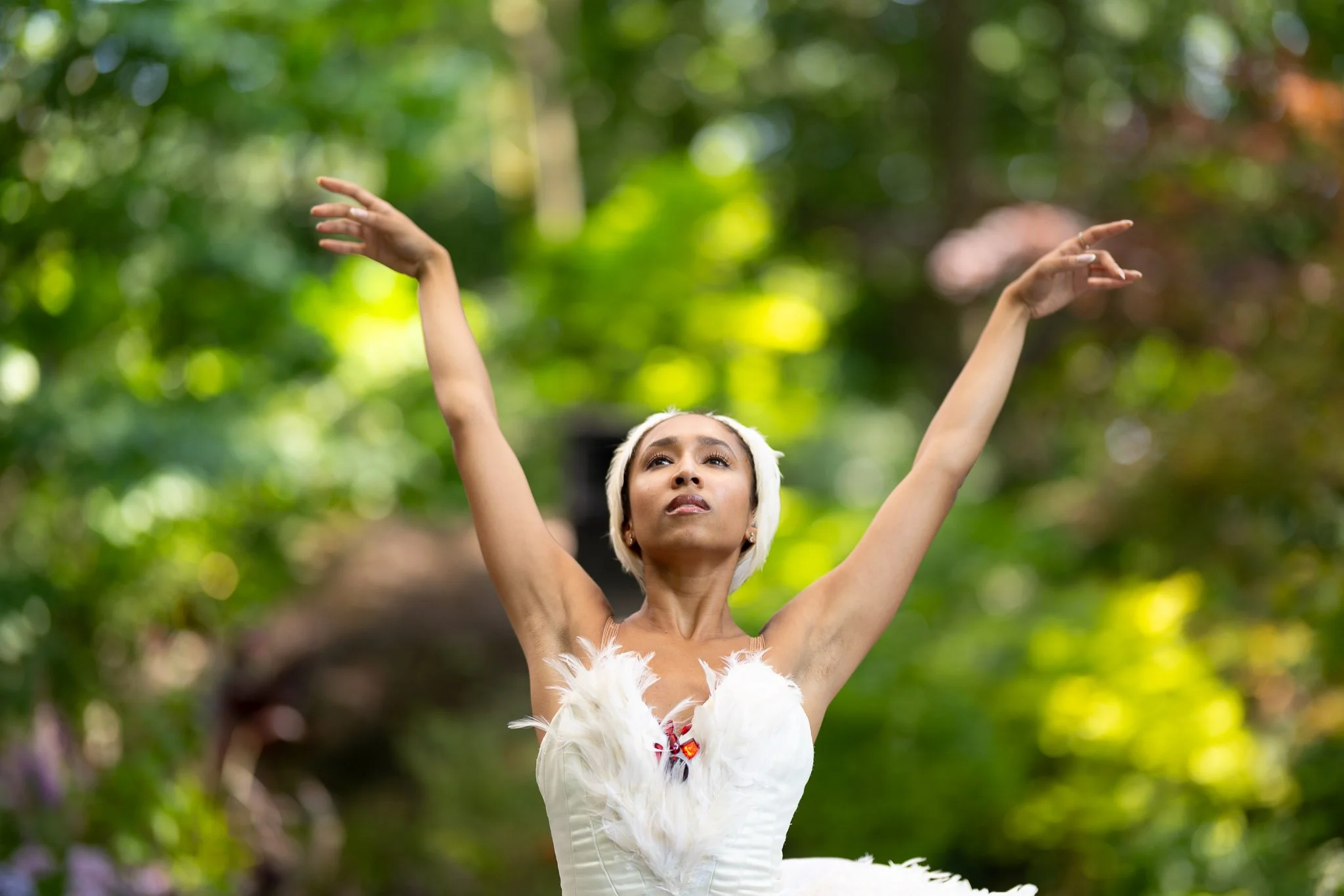 JOM Summer Enchantment 1 Cam 1-1809.jpg