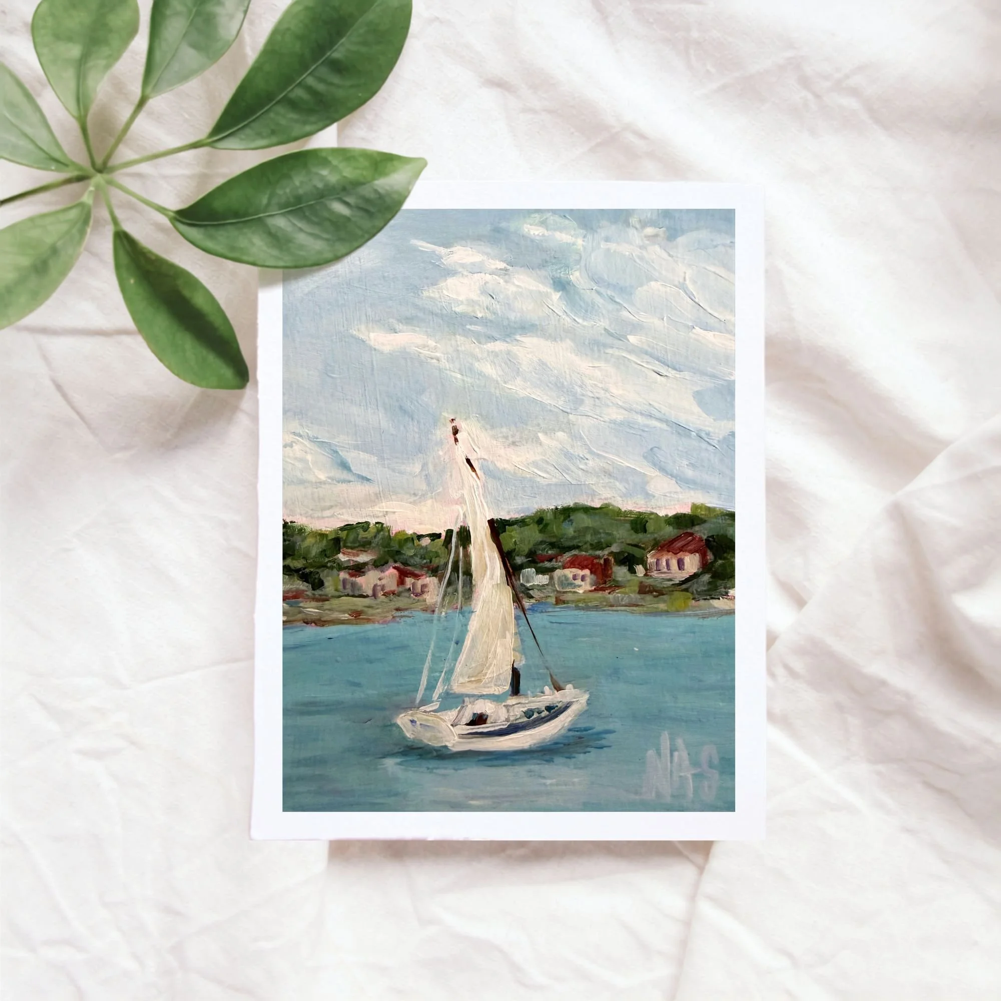 Maine Sailing.jpg